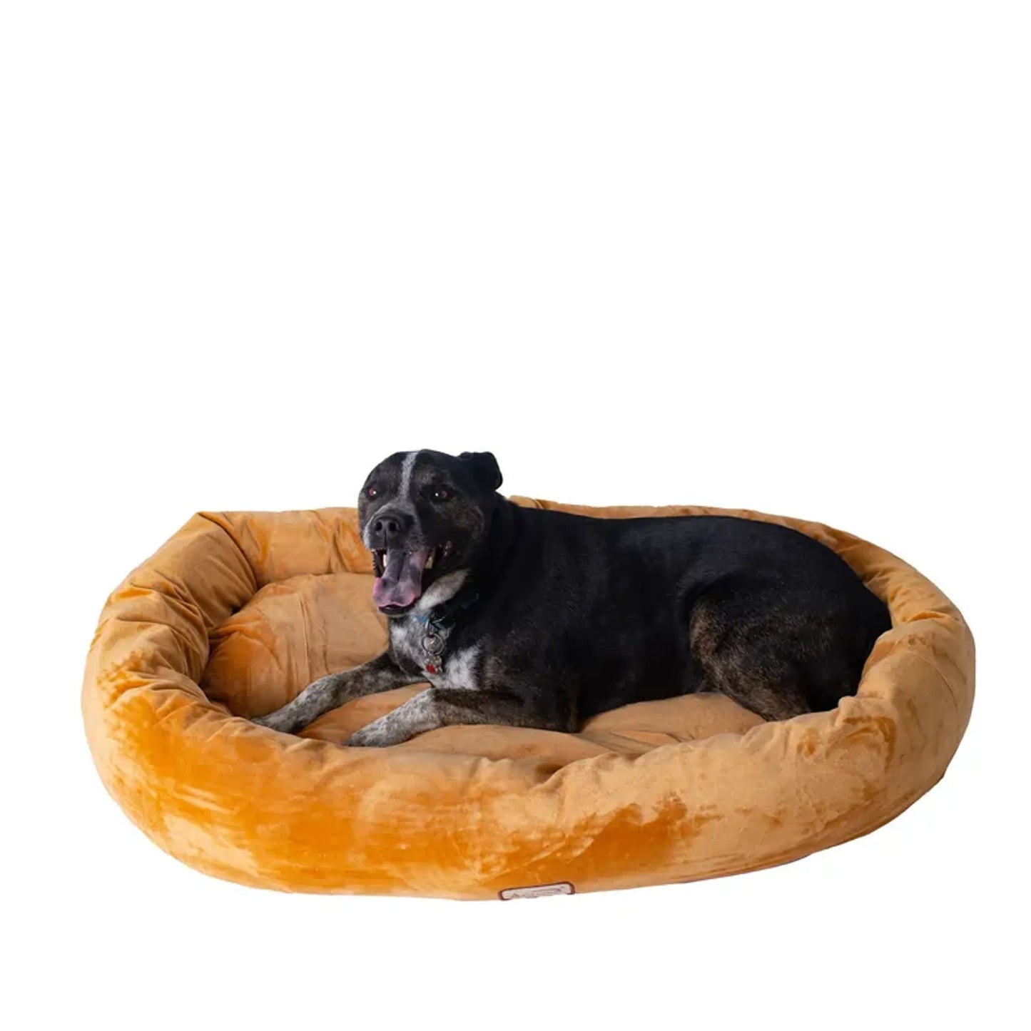 Armarkat Bolstered Pet Bed and Mat - Comfortable and Durable
