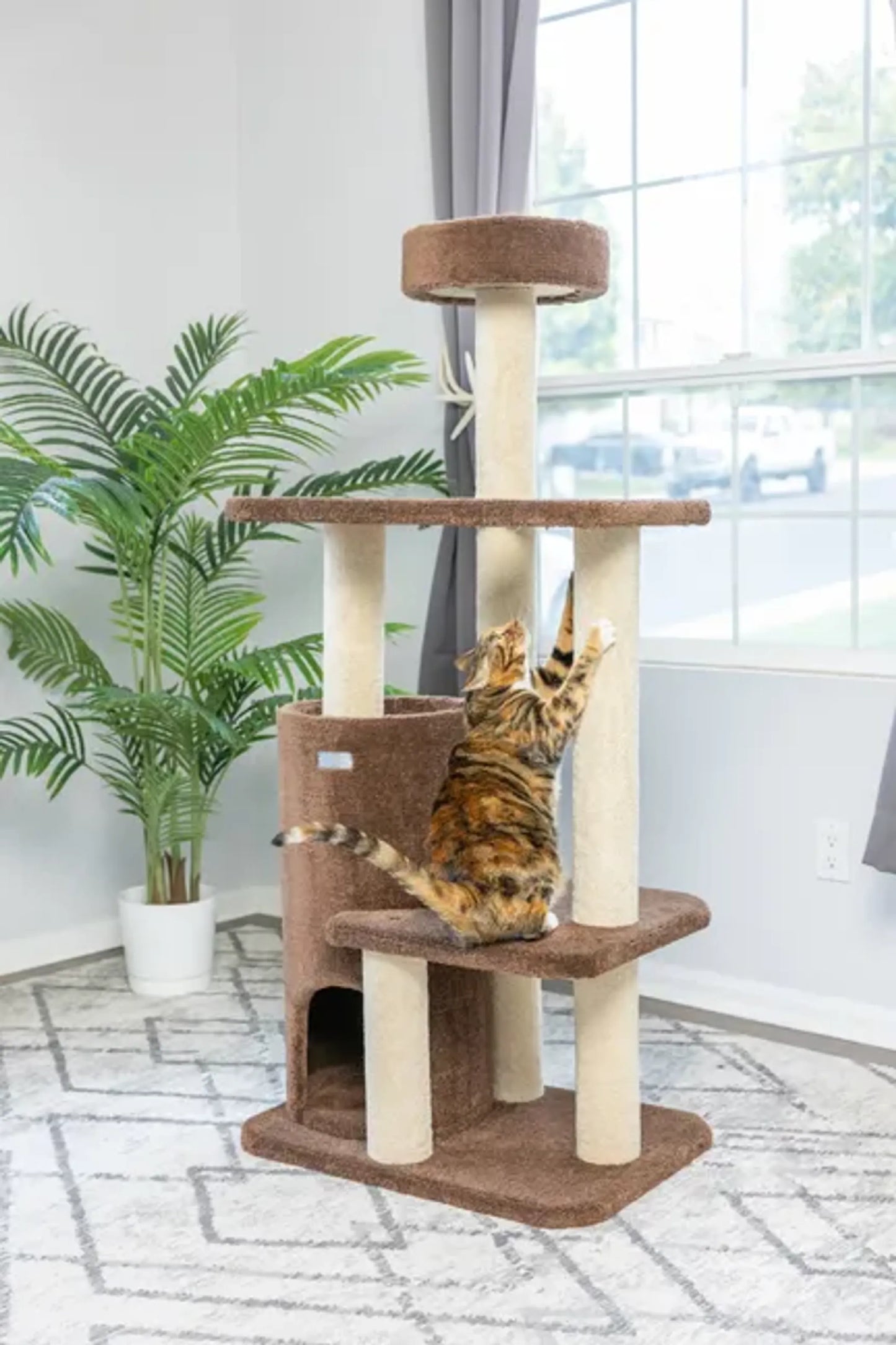 Armarkat Real Wood 3-Level Carpeted Cat Tree Condo