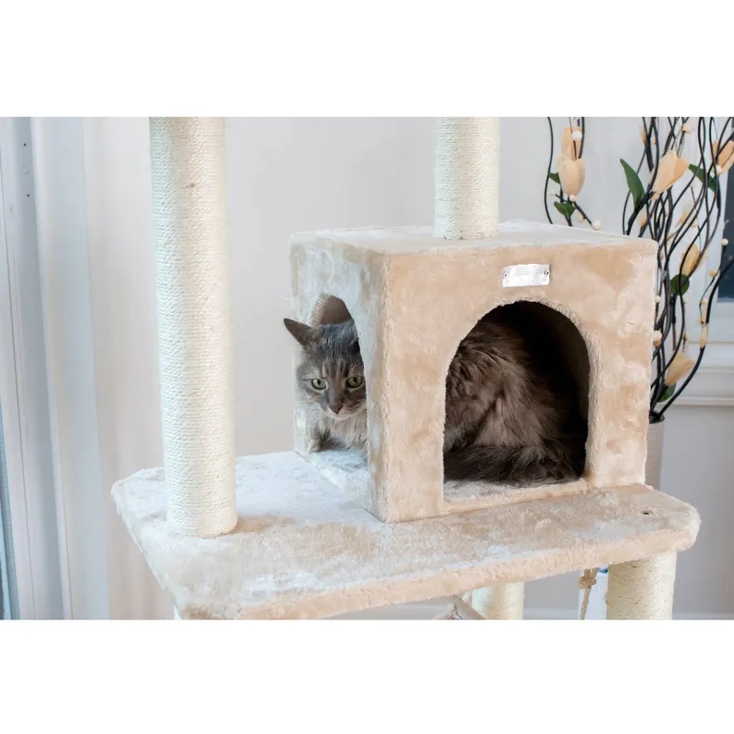 Real Wood Cat Tree House with Multiple Levels - Indoor Pet Climber