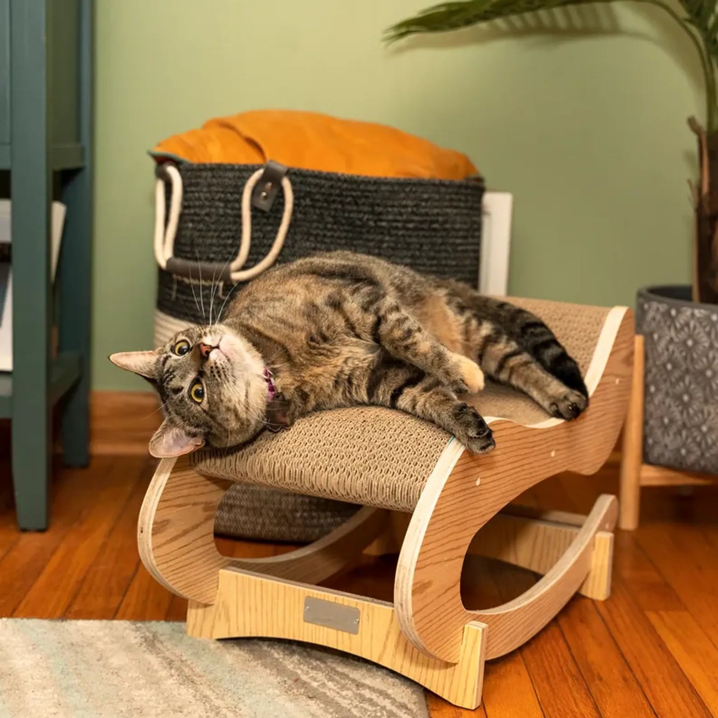 Medium Cat Rocking Chair - Fun and Unique Cat Furniture