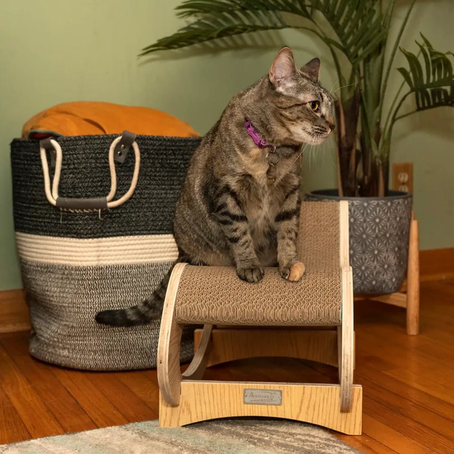 Medium Cat Rocking Chair - Fun and Unique Cat Furniture