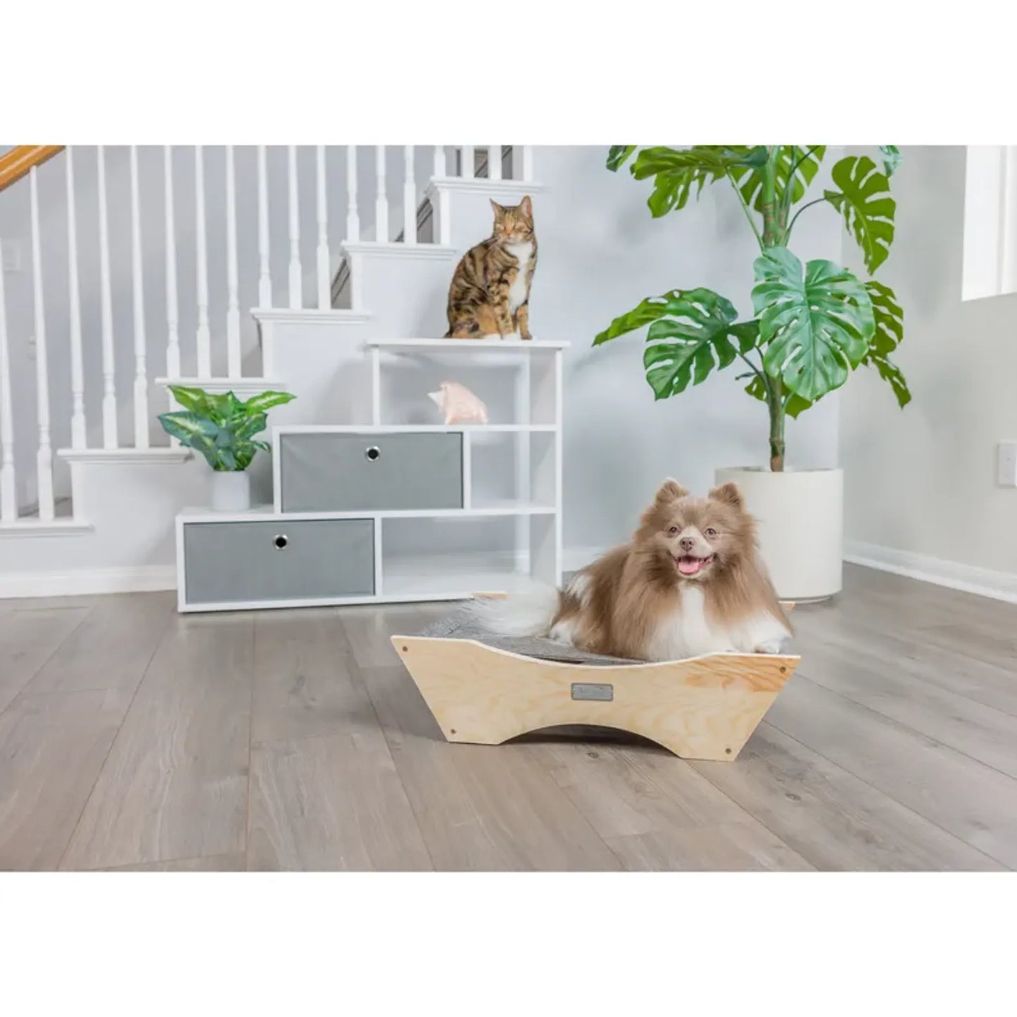 Armarkat Elevated Pet Hammock - Cozy Resting Spot for Small Pets