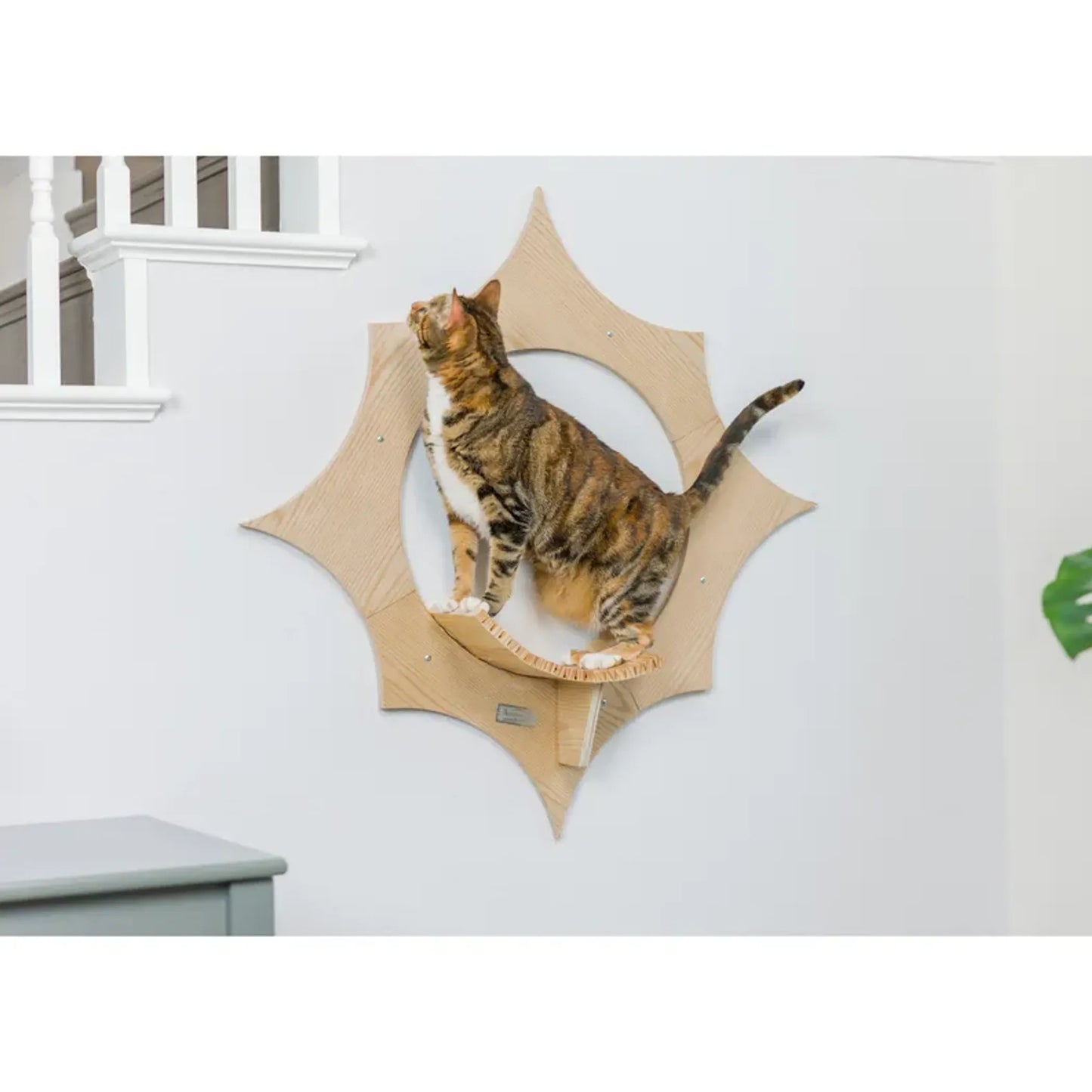 Armarkat Sun-Shaped Wall-Mounted Cat Climber Shelves