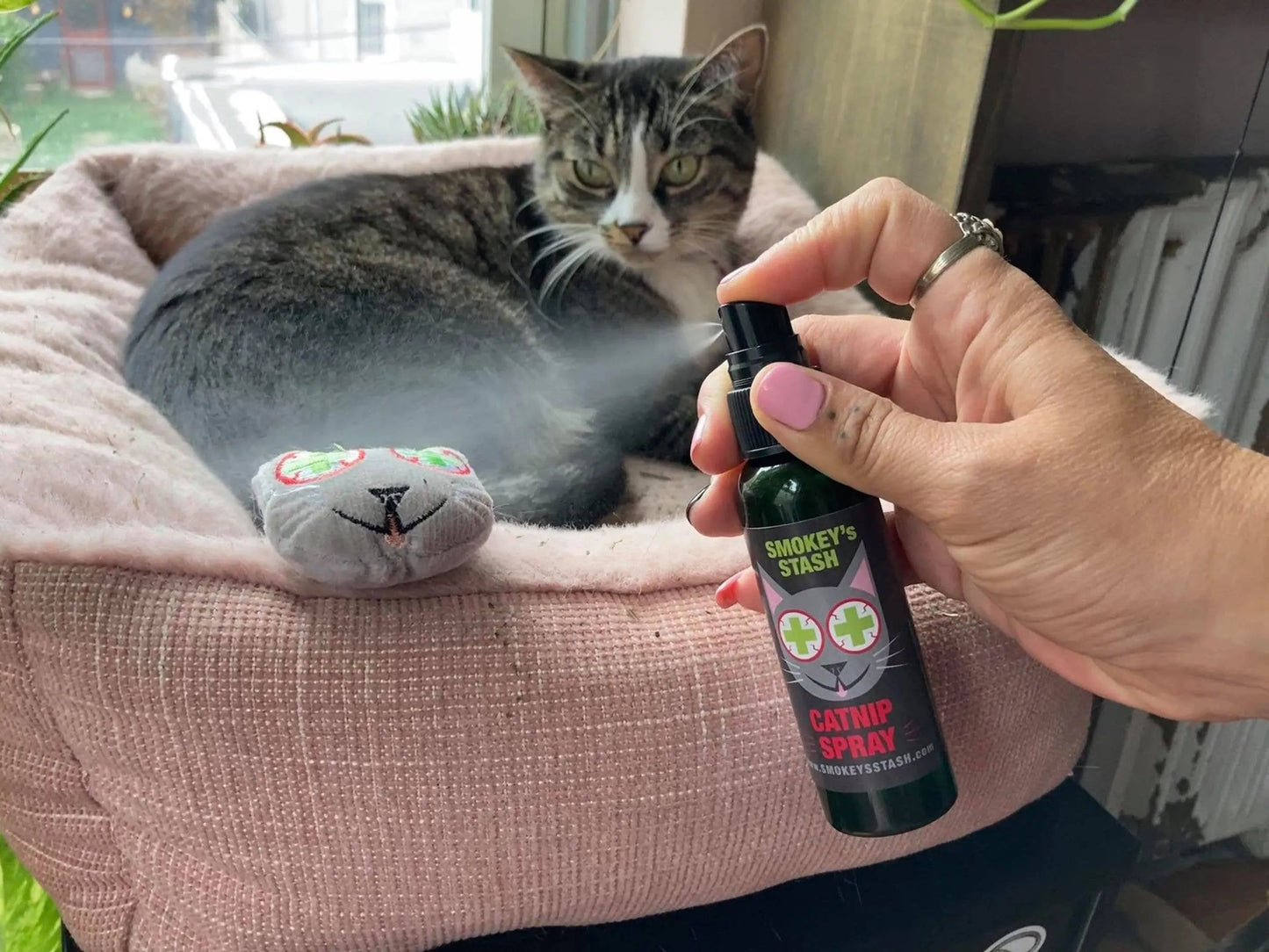Smokey's Stash Organic Catnip Combo Pack - Spray and Distilled Water