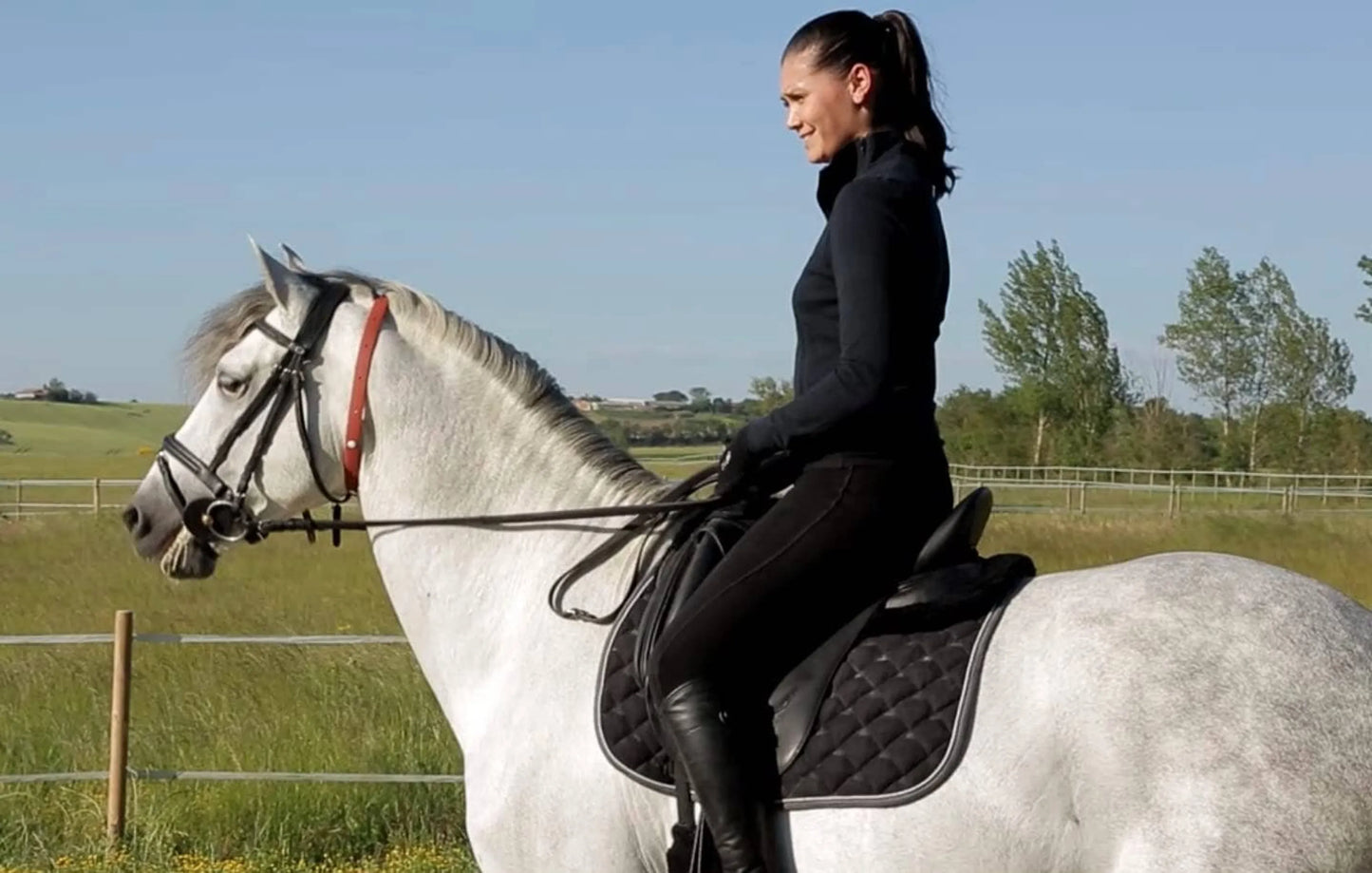 ALZOO Herbal Horse Collar - Creates a Pleasant Environment for Horses