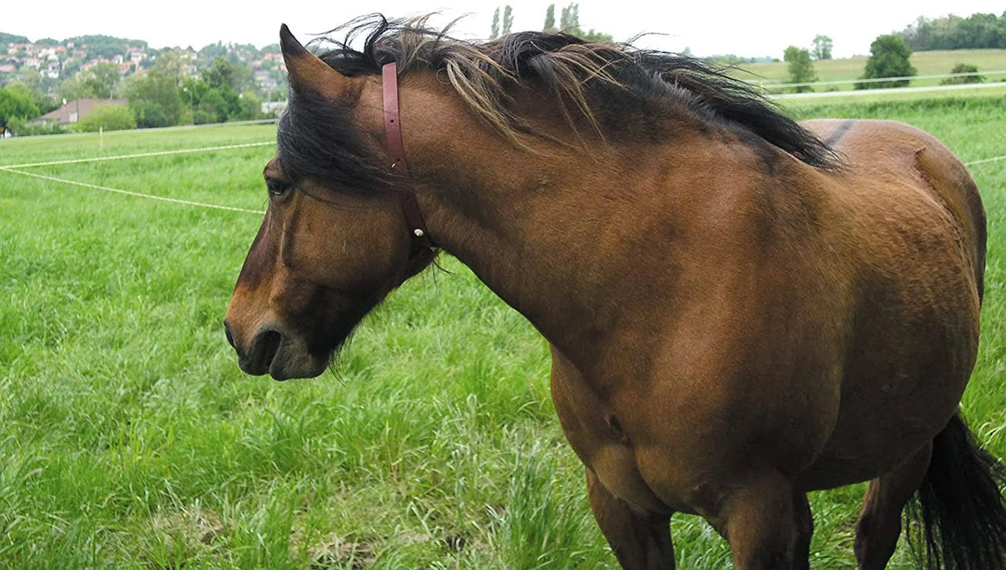 ALZOO Herbal Horse Collar - Creates a Pleasant Environment for Horses