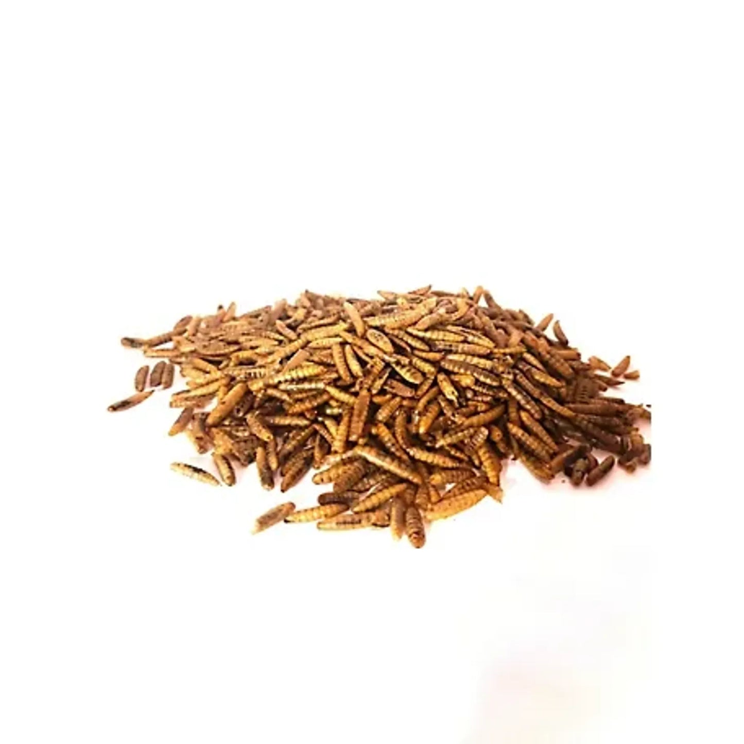 All-Natural Dried Black Soldier Fly Larvae - Poultry Treats