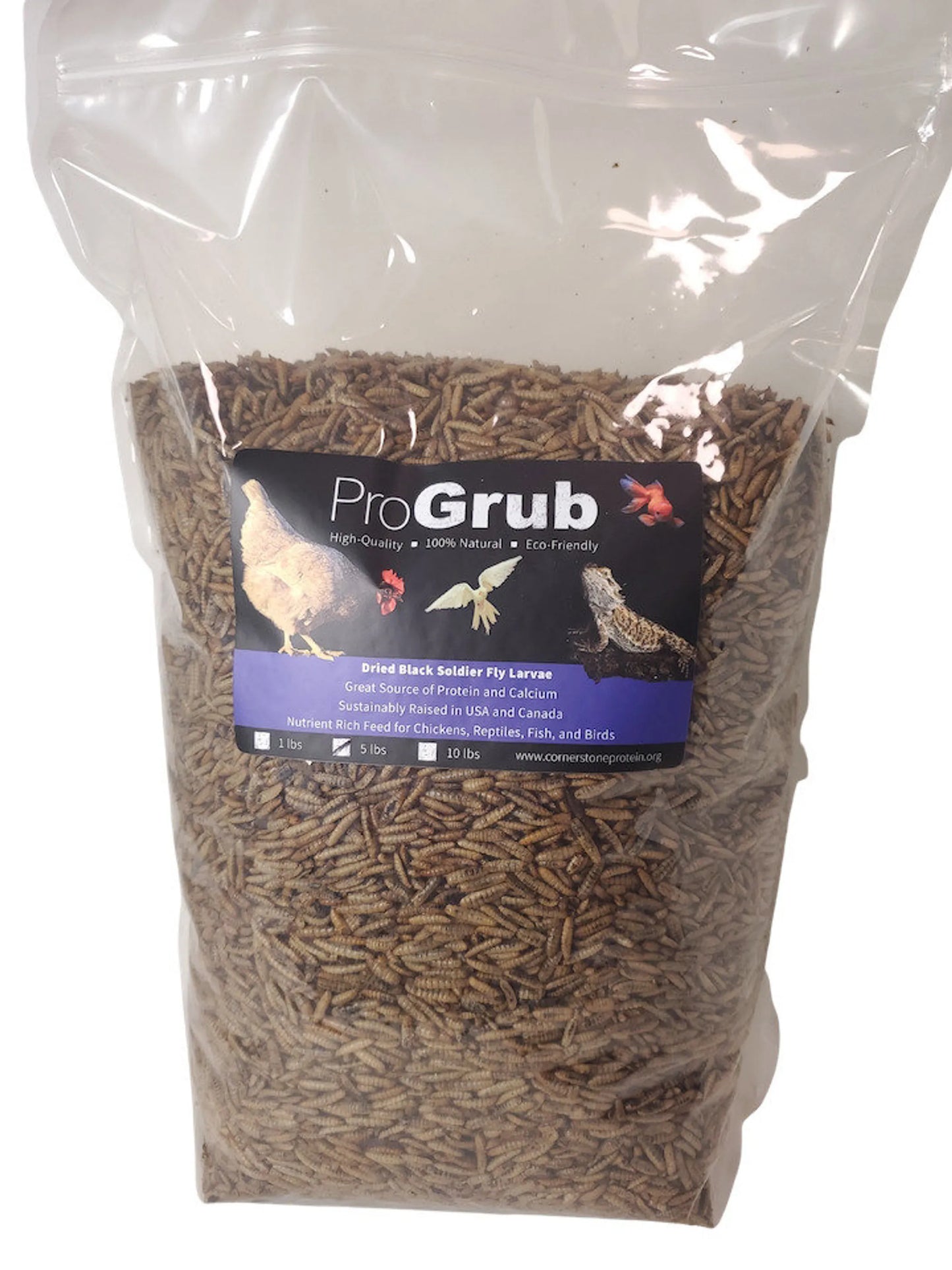 All-Natural Dried Black Soldier Fly Larvae - Poultry Treats