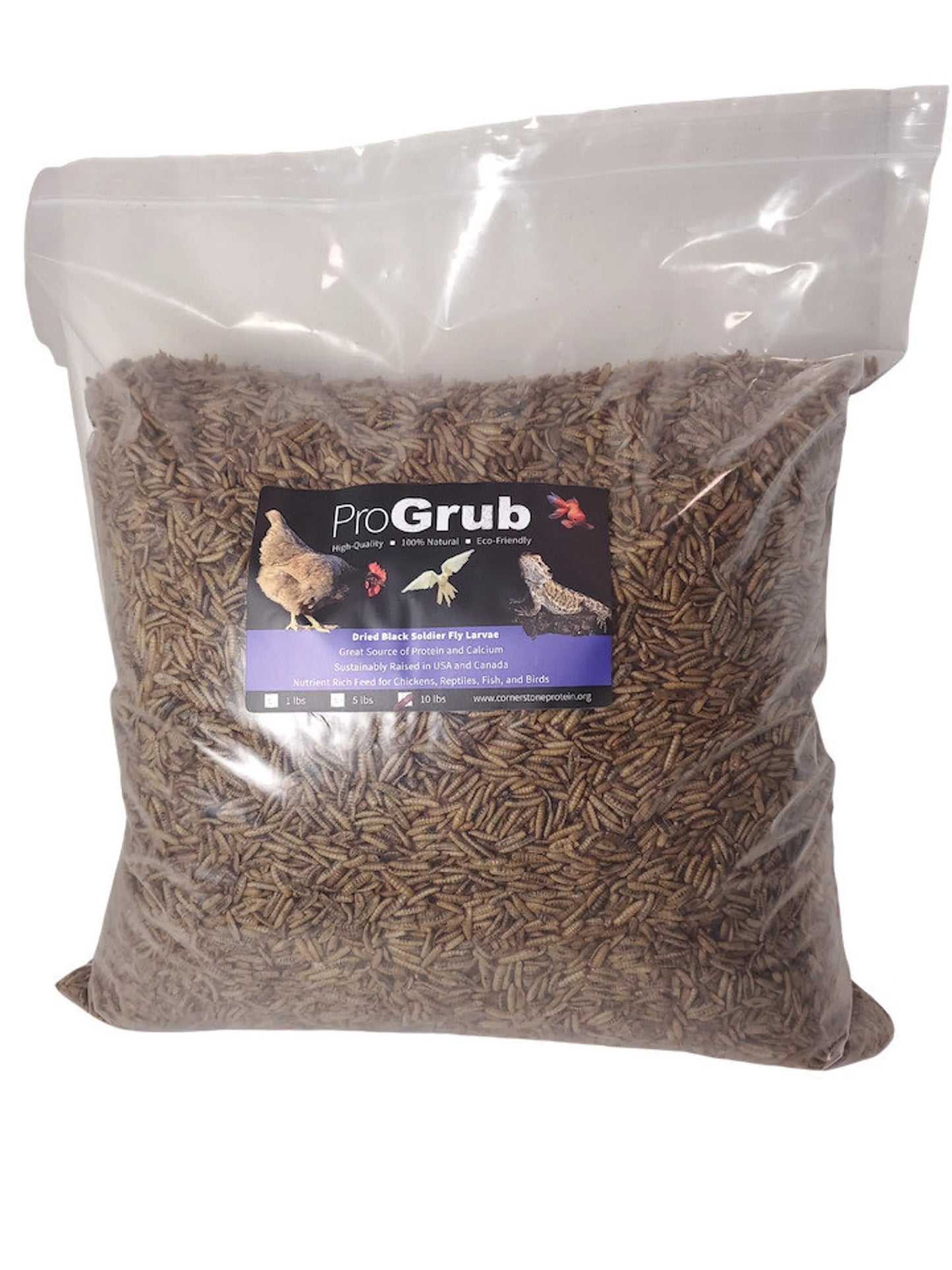 All-Natural Dried Black Soldier Fly Larvae - Poultry Treats