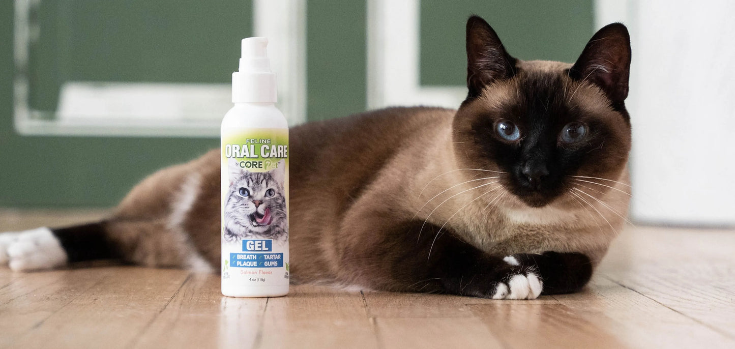 Feline Salmon Gel - Comprehensive Oral Care for Cats