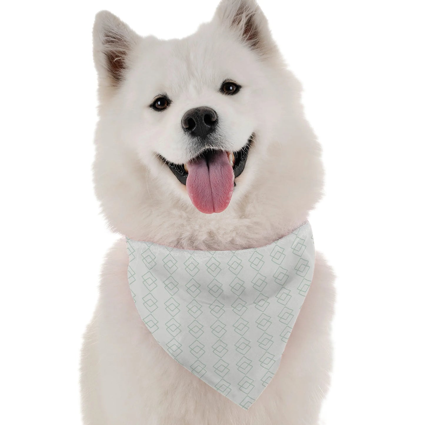 'Athena' Contemporary Dog Bandana - Chic, Comfortable Pet Apparel