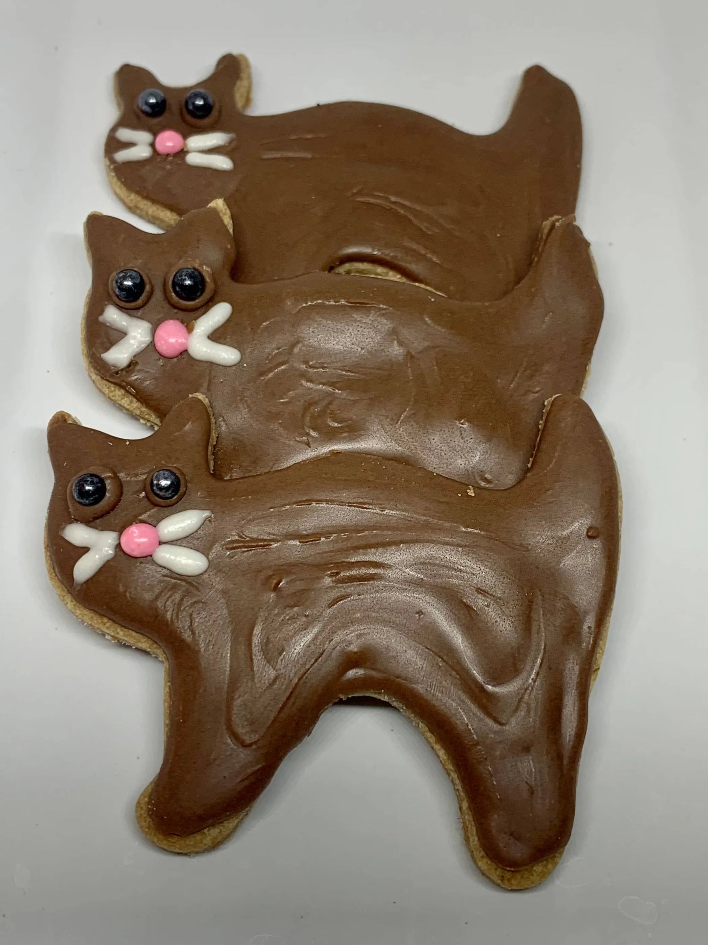 Fraidy Cat Dog Treat - Carob Cat-shaped Cookies with Vanilla Icing