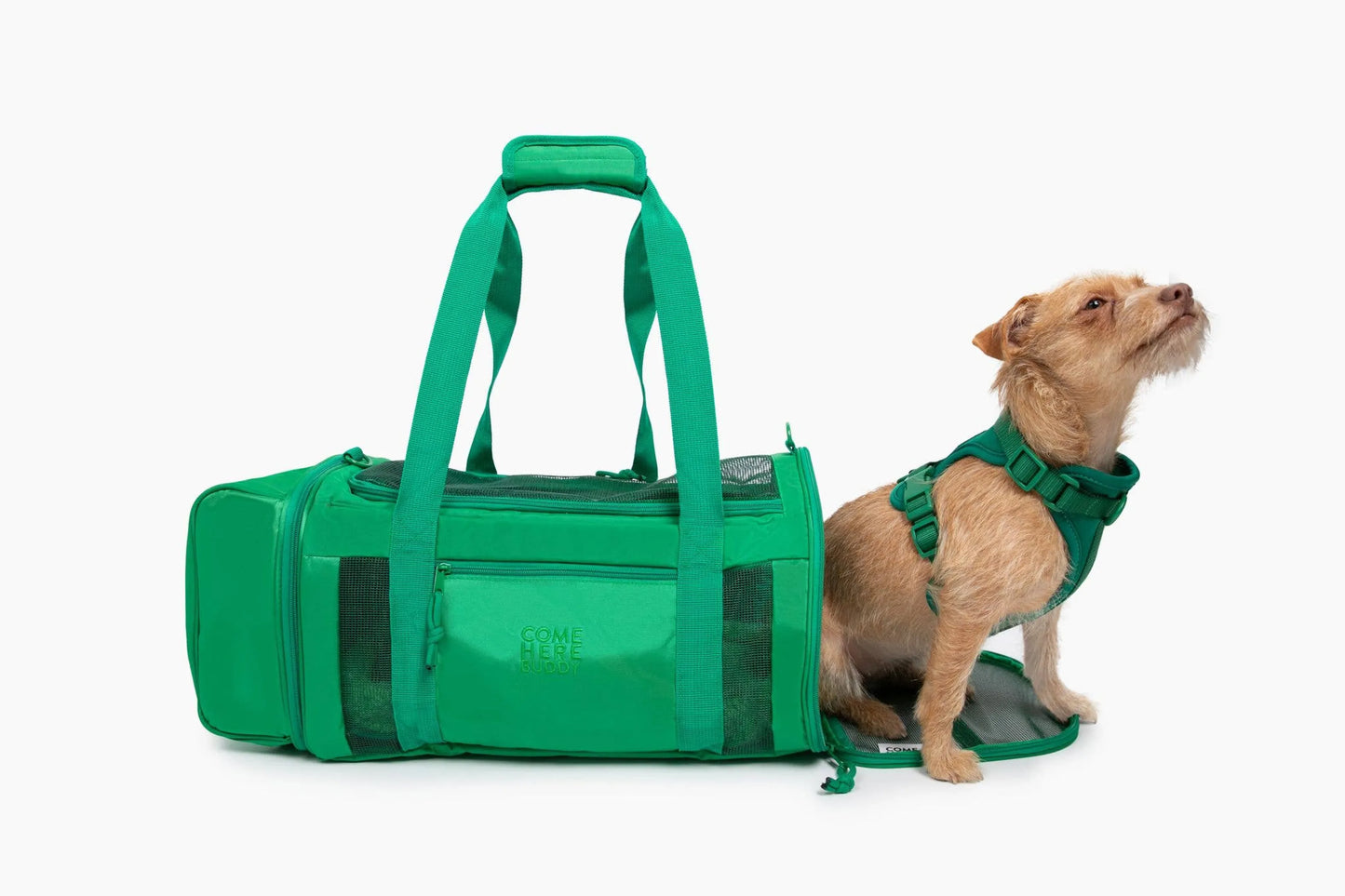 Travel Buddy - Comfortable and Spacious Pet Carrier