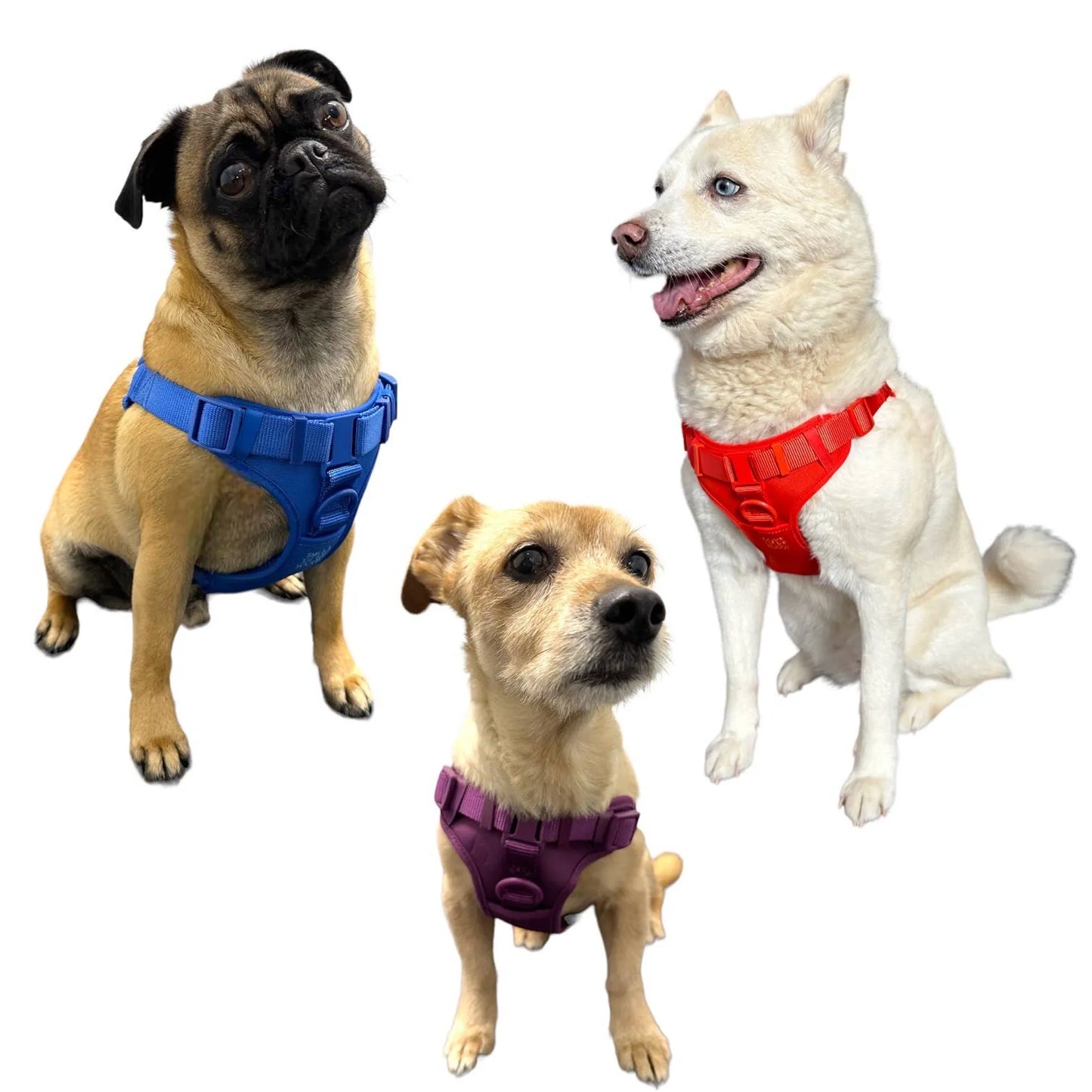 Step In Dog Harness – Padded, Adjustable, Dual D-Ring
