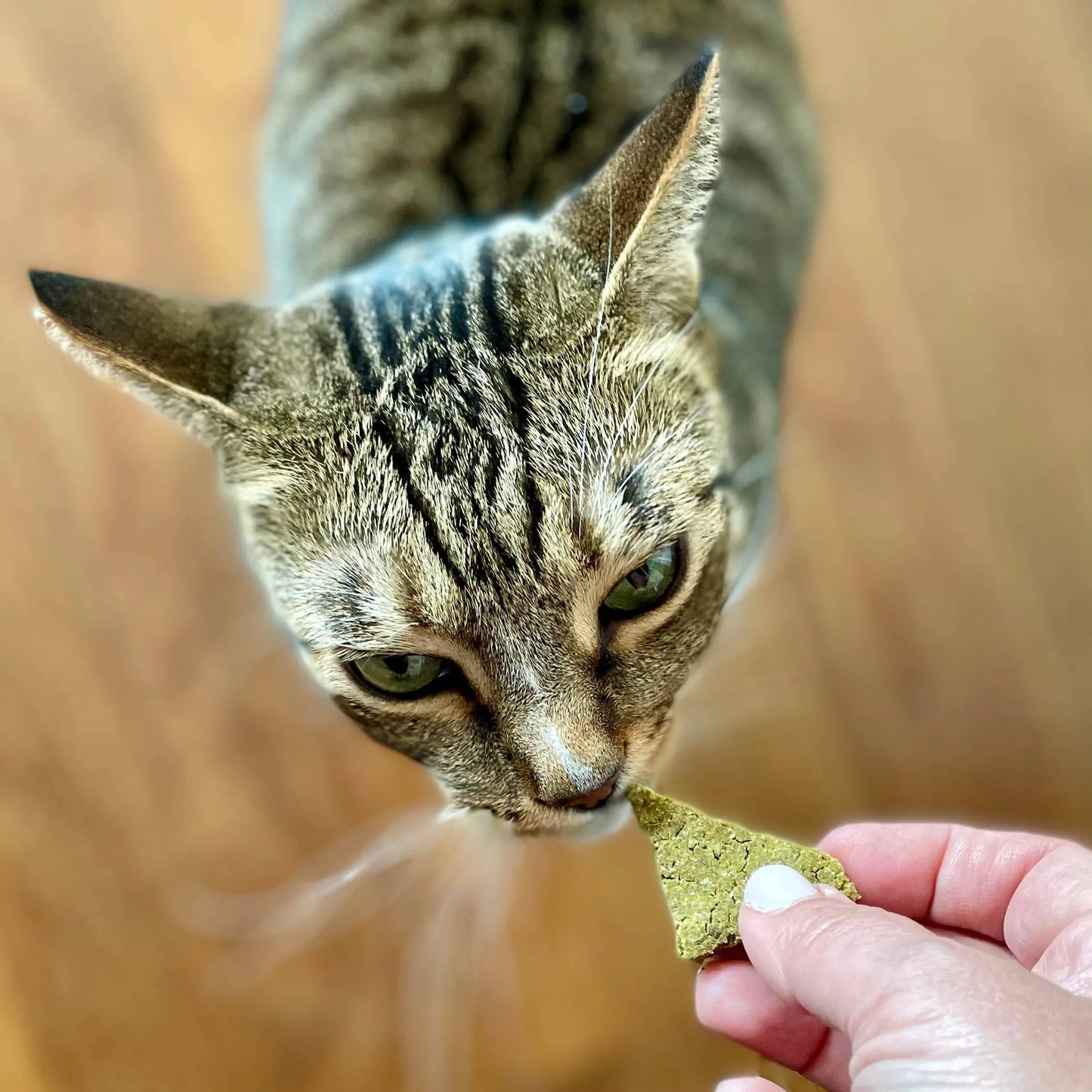 Organic Cat Treats Baking Mix - Botanical Bark, Healthy