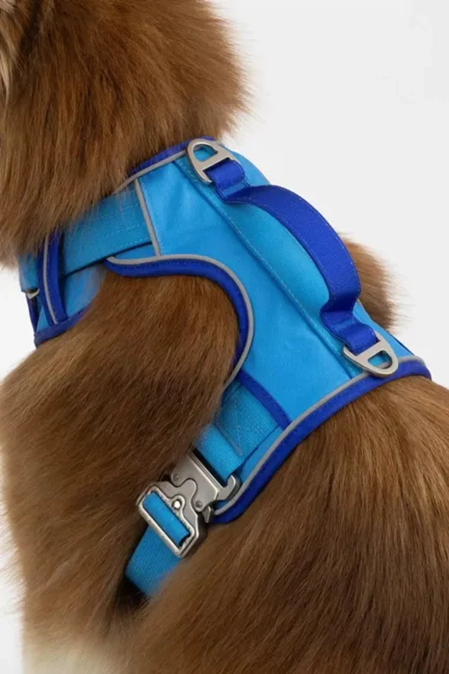 Dockside Adventures Ultimate Harness – Durable, Secure, Comfortable