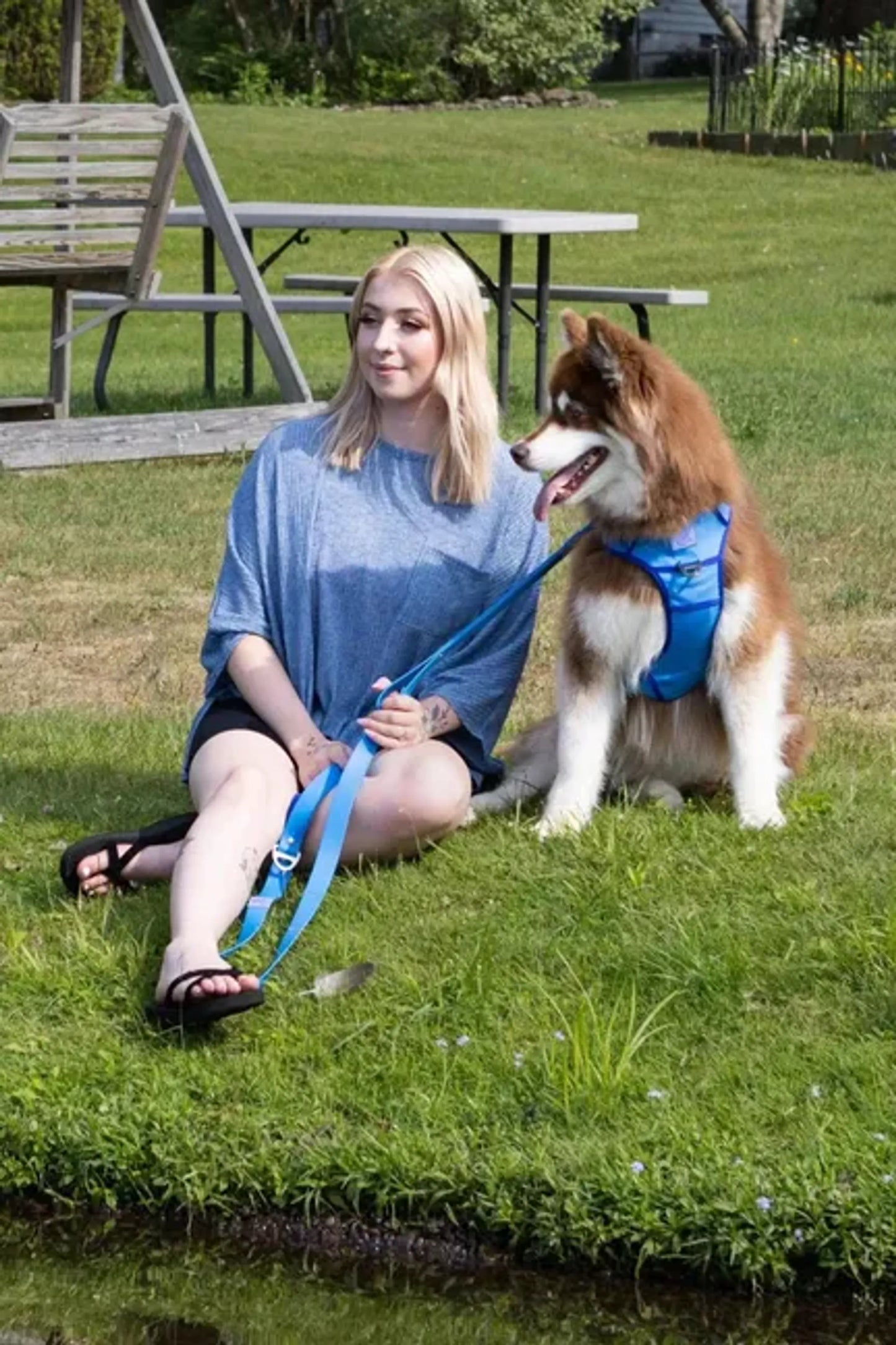 Dockside Adventures Ultimate Harness – Durable, Secure, Comfortable