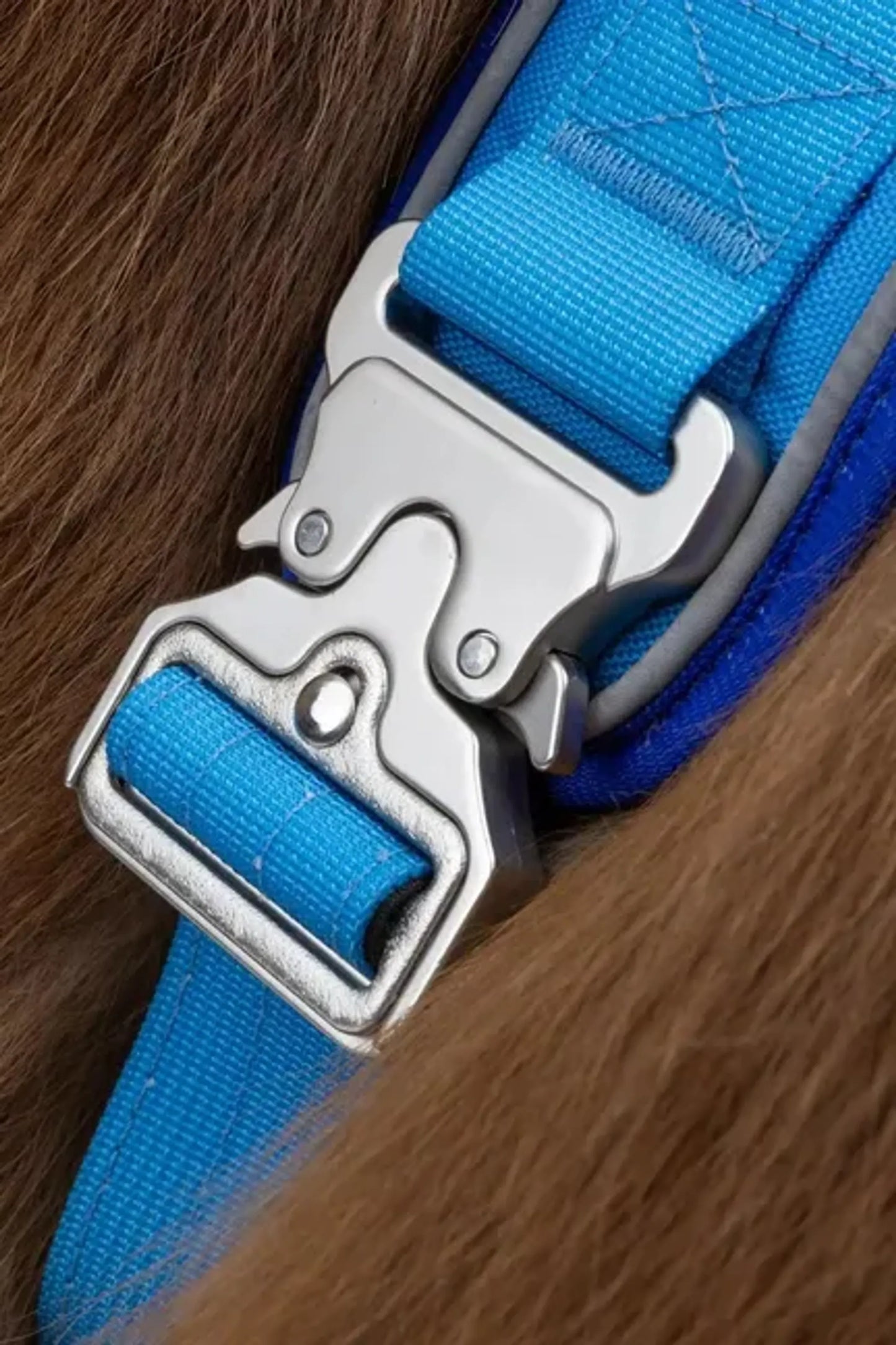 Dockside Adventures Ultimate Harness – Durable, Secure, Comfortable
