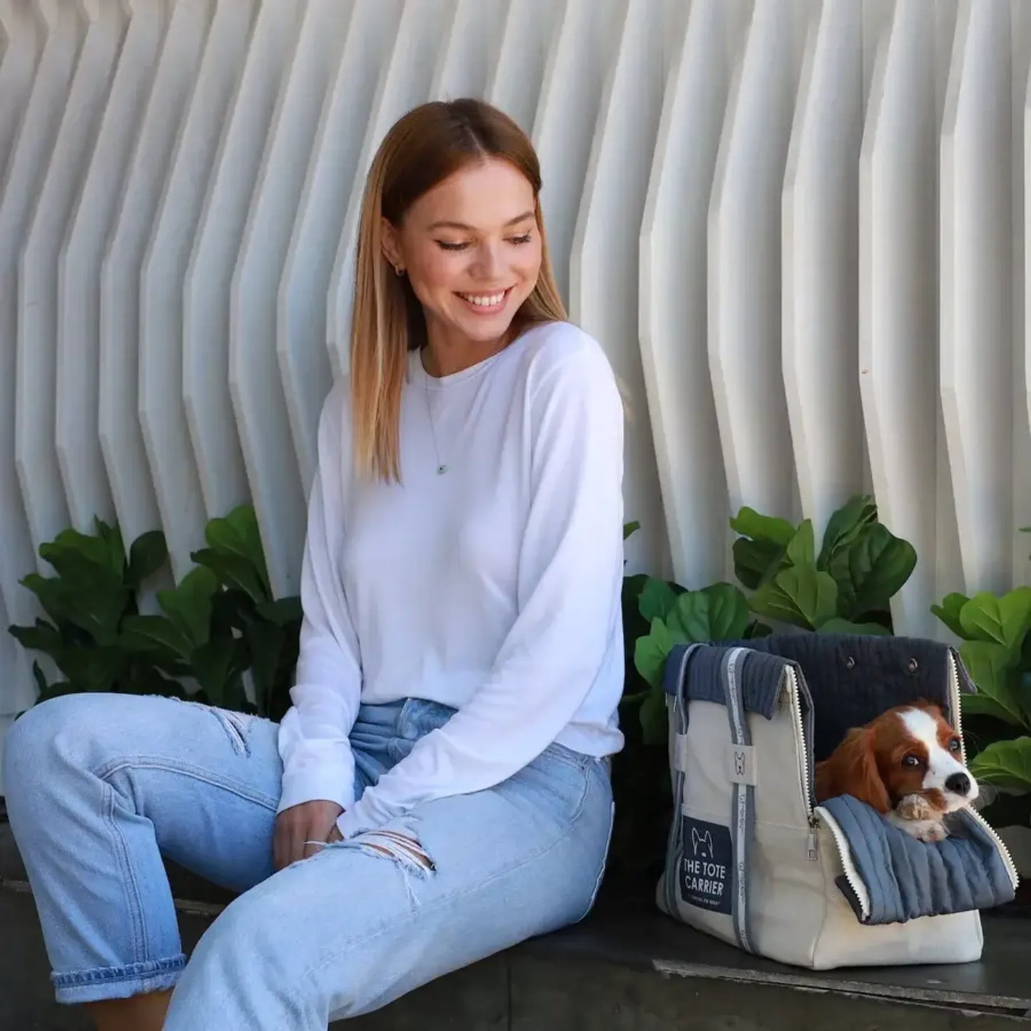 NANDOG Tote Dog Carrier - Stylish and Convenient Pet Travel Solution