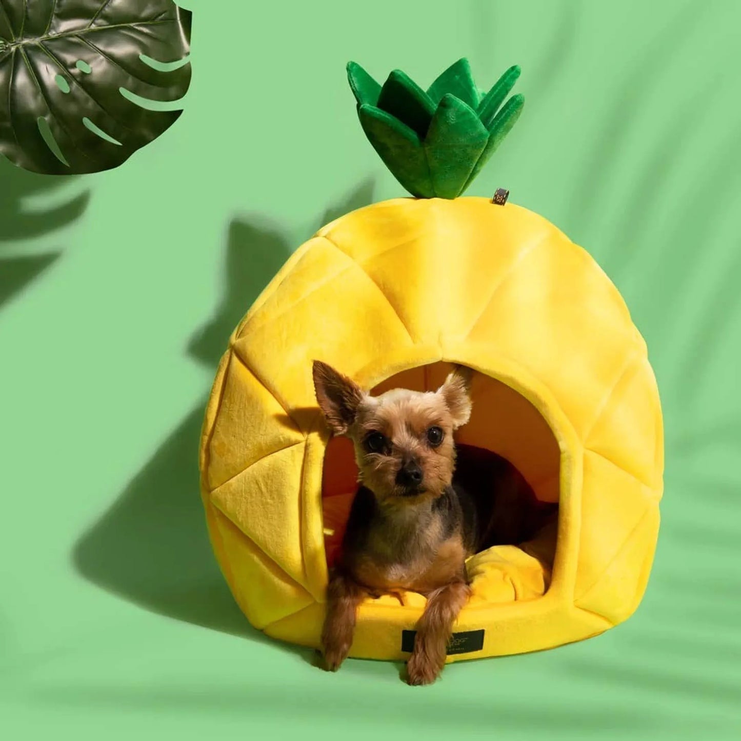NANDOG Large Pineapple Bed - Fun and Comfortable Pet Bed