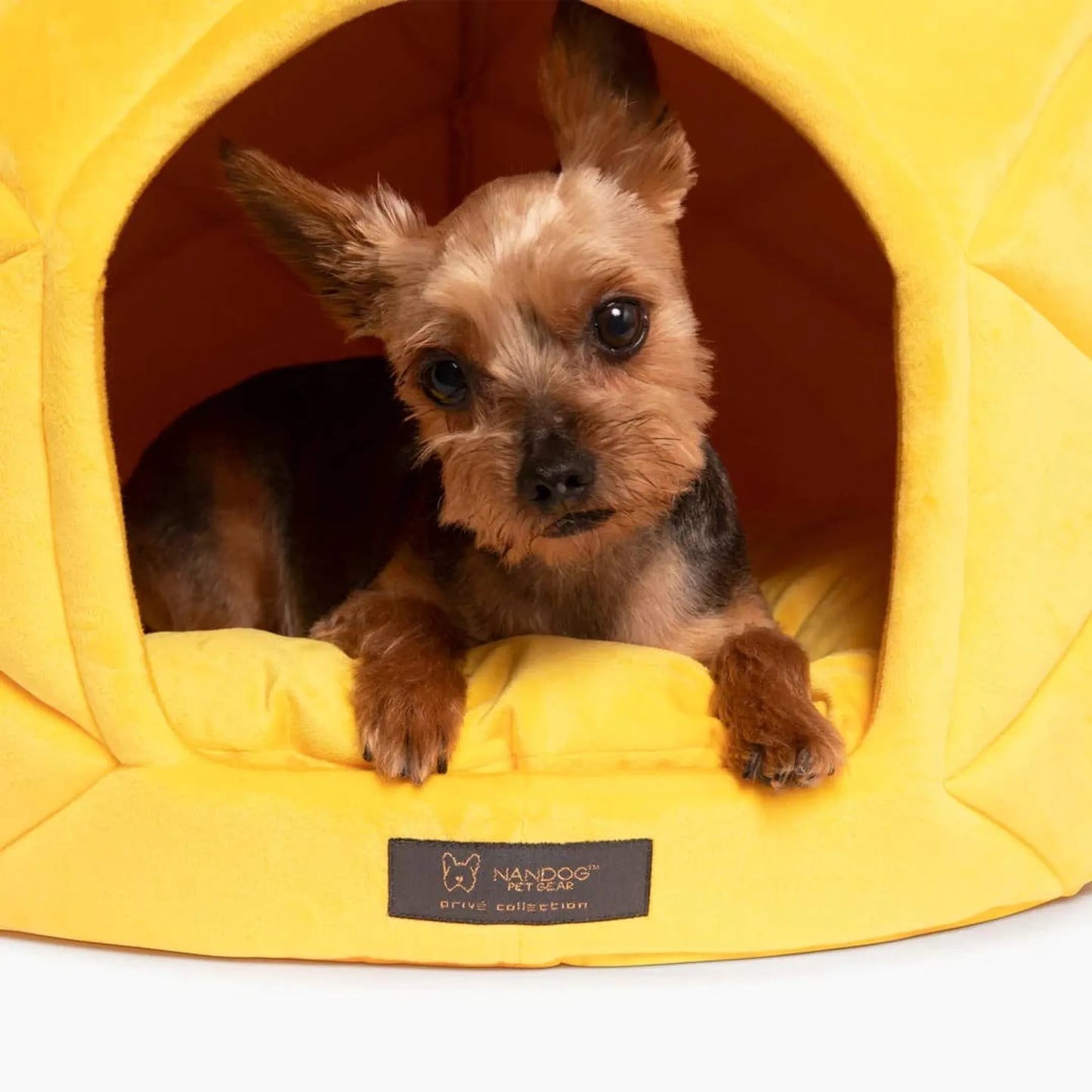 NANDOG Large Pineapple Bed - Fun and Comfortable Pet Bed