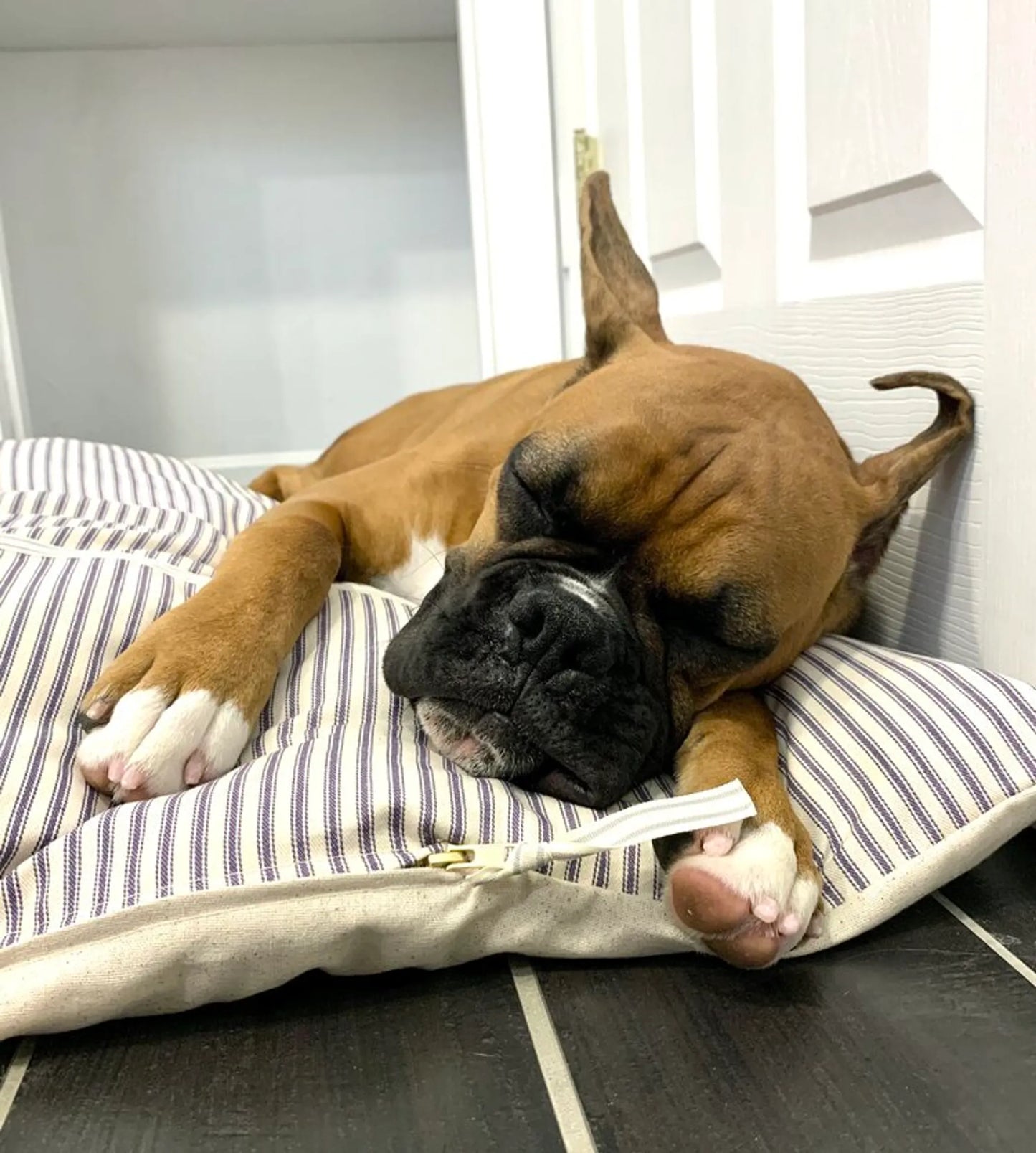 Vintage Farmhouse Navy Ticking Dog Bed - Comfortable and Stylish
