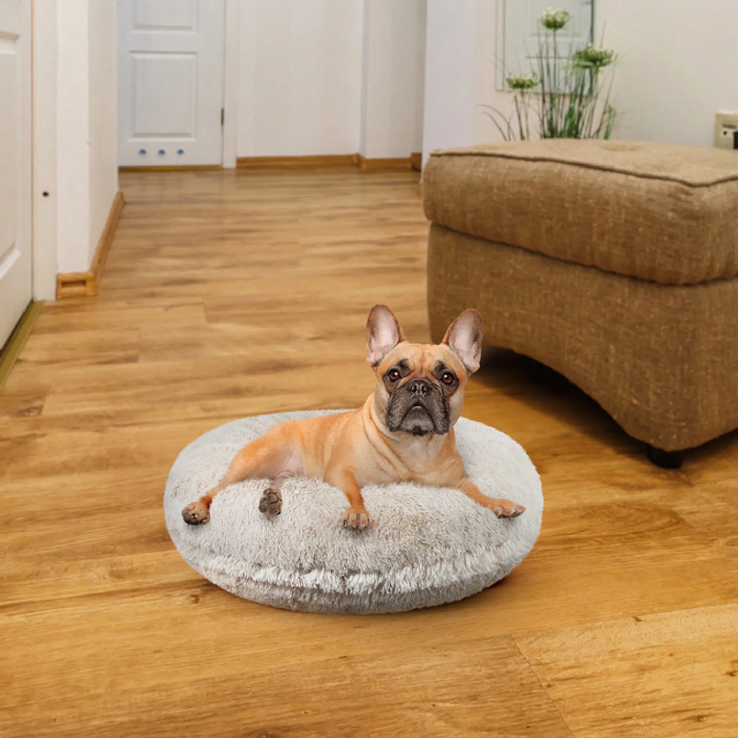 Plush Bagel Dog Bed - Ultimate Sleeping Comfort