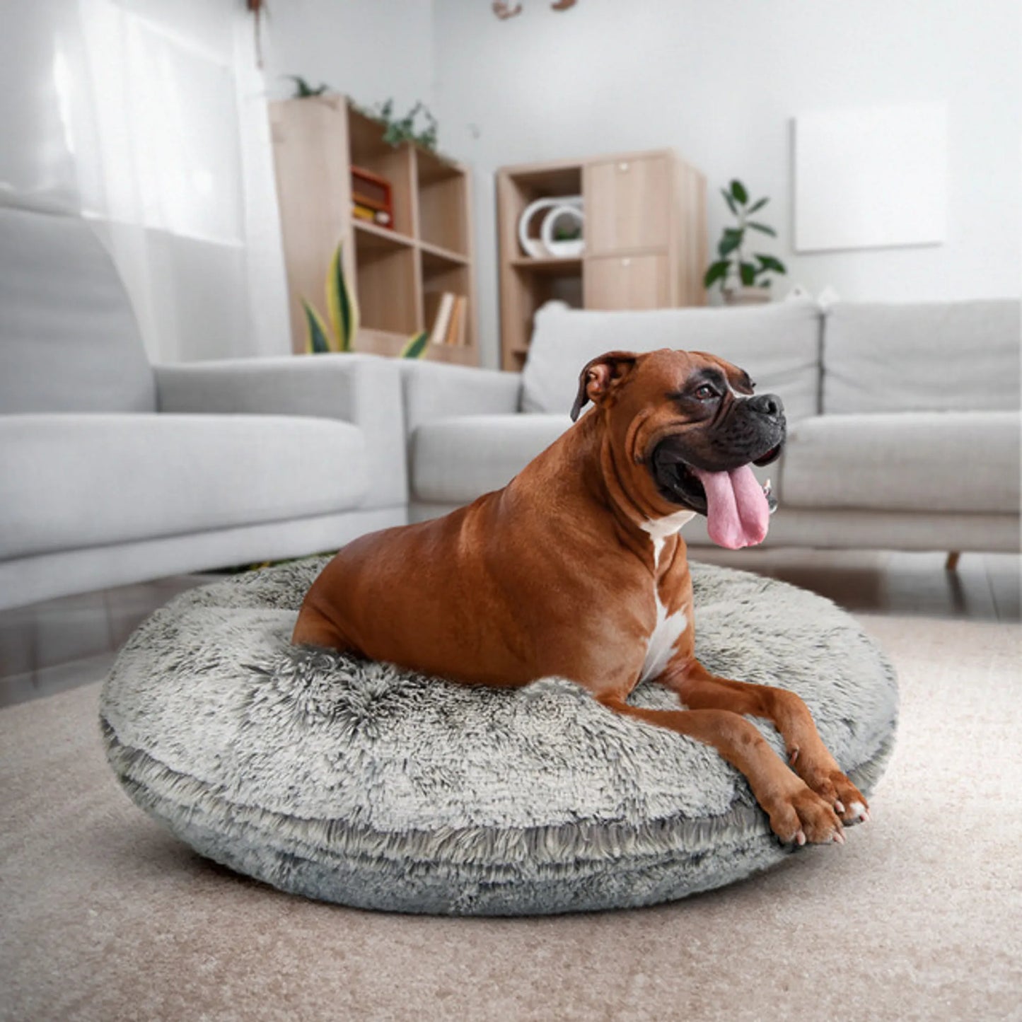 Plush Bagel Dog Bed - Ultimate Sleeping Comfort