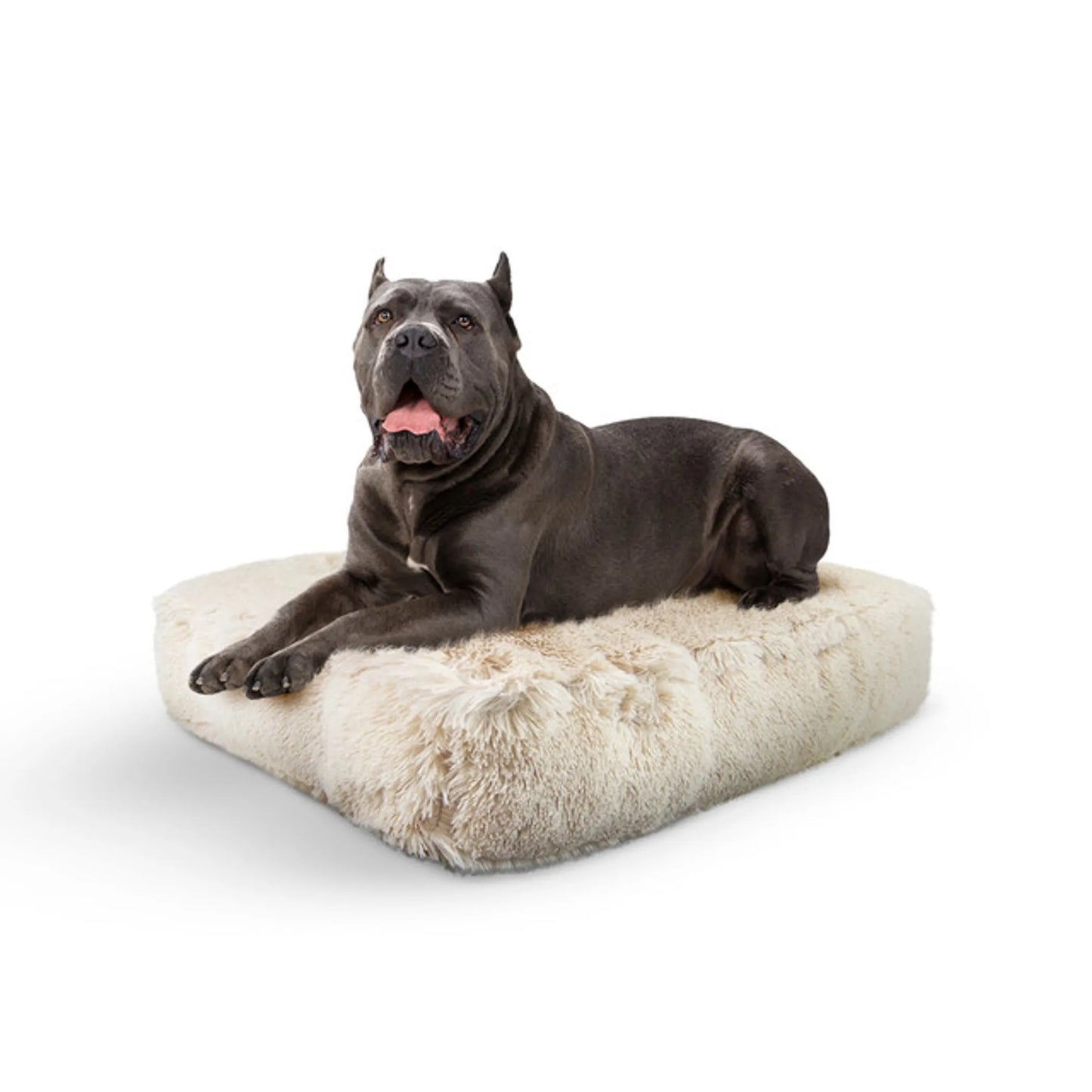 Bessie And Barnie Rectangular Dog Bed - Ultra-Soft and Comfortable Dog Bed