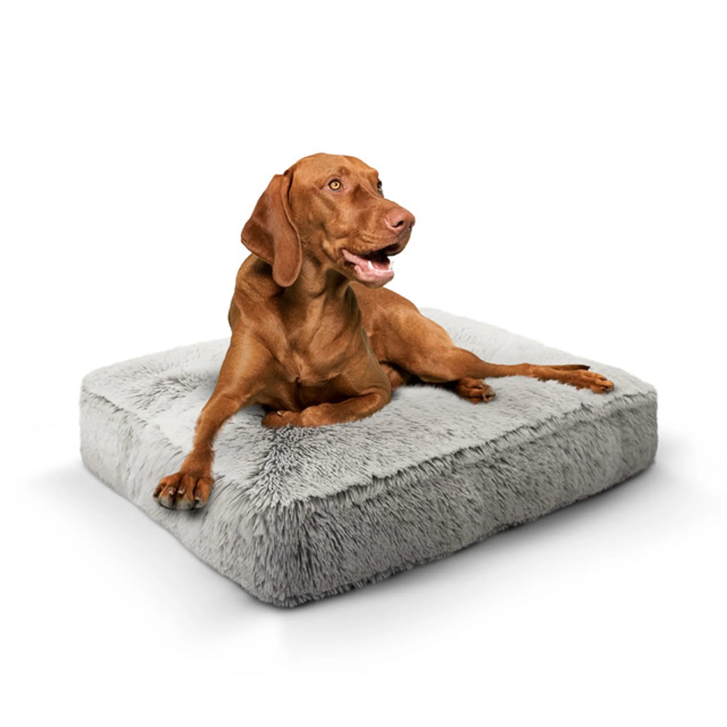Bessie And Barnie Rectangular Dog Bed - Ultra-Soft and Comfortable Dog Bed