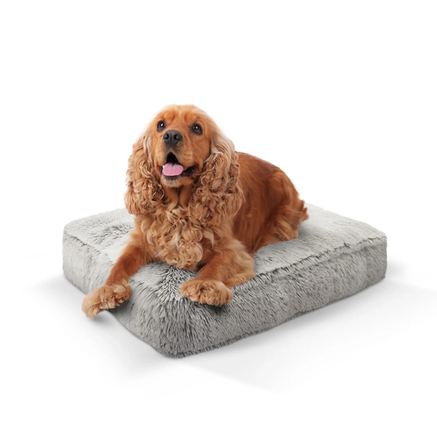 Bessie And Barnie Rectangular Dog Bed - Ultra-Soft and Comfortable Dog Bed
