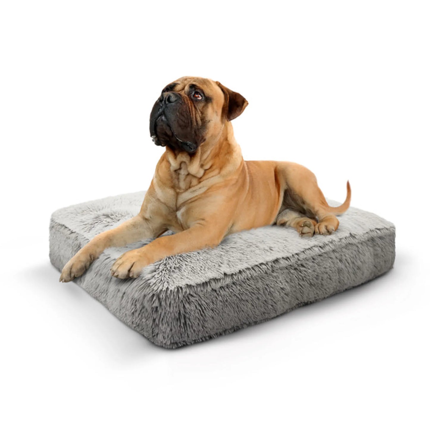 Bessie And Barnie Rectangular Dog Bed - Ultra-Soft and Comfortable Dog Bed