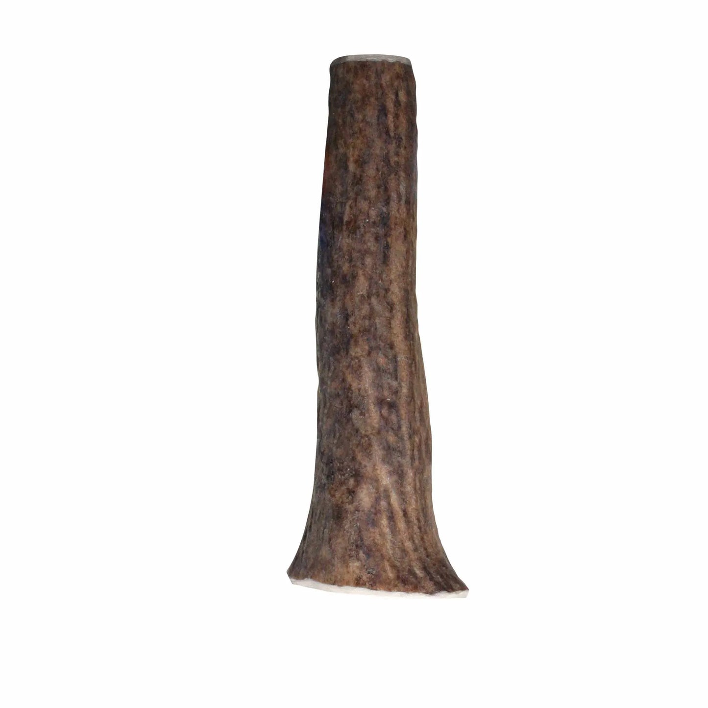 KONG Wild Antler Whole - All-Natural Chewing Solution, Medium Size