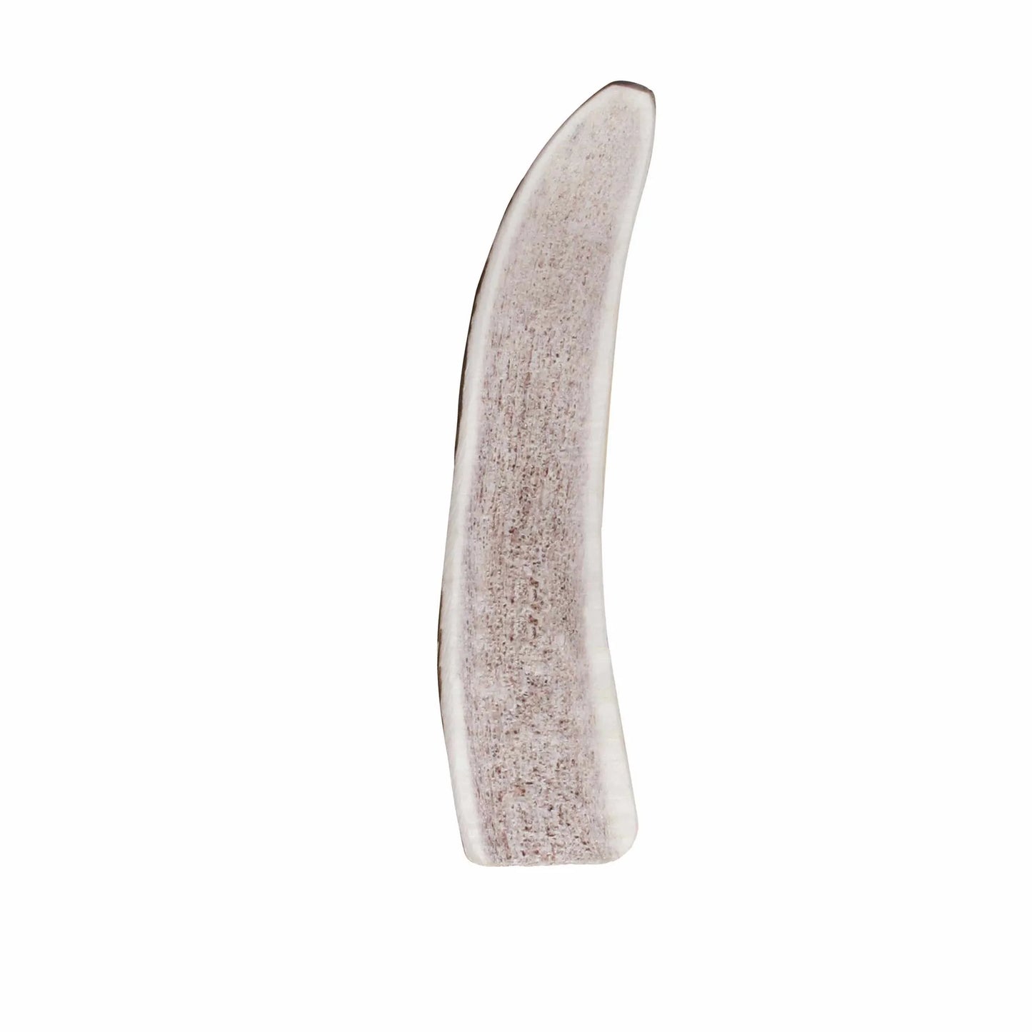 KONG Wild Antler Split - Natural & Durable Chewing Solution, Large Size