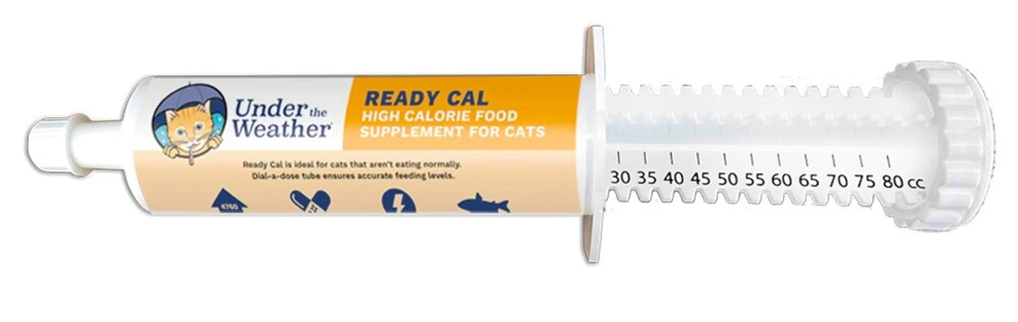 High Calorie Gel for Cats | Nutritional Supplement for Fussy Eaters