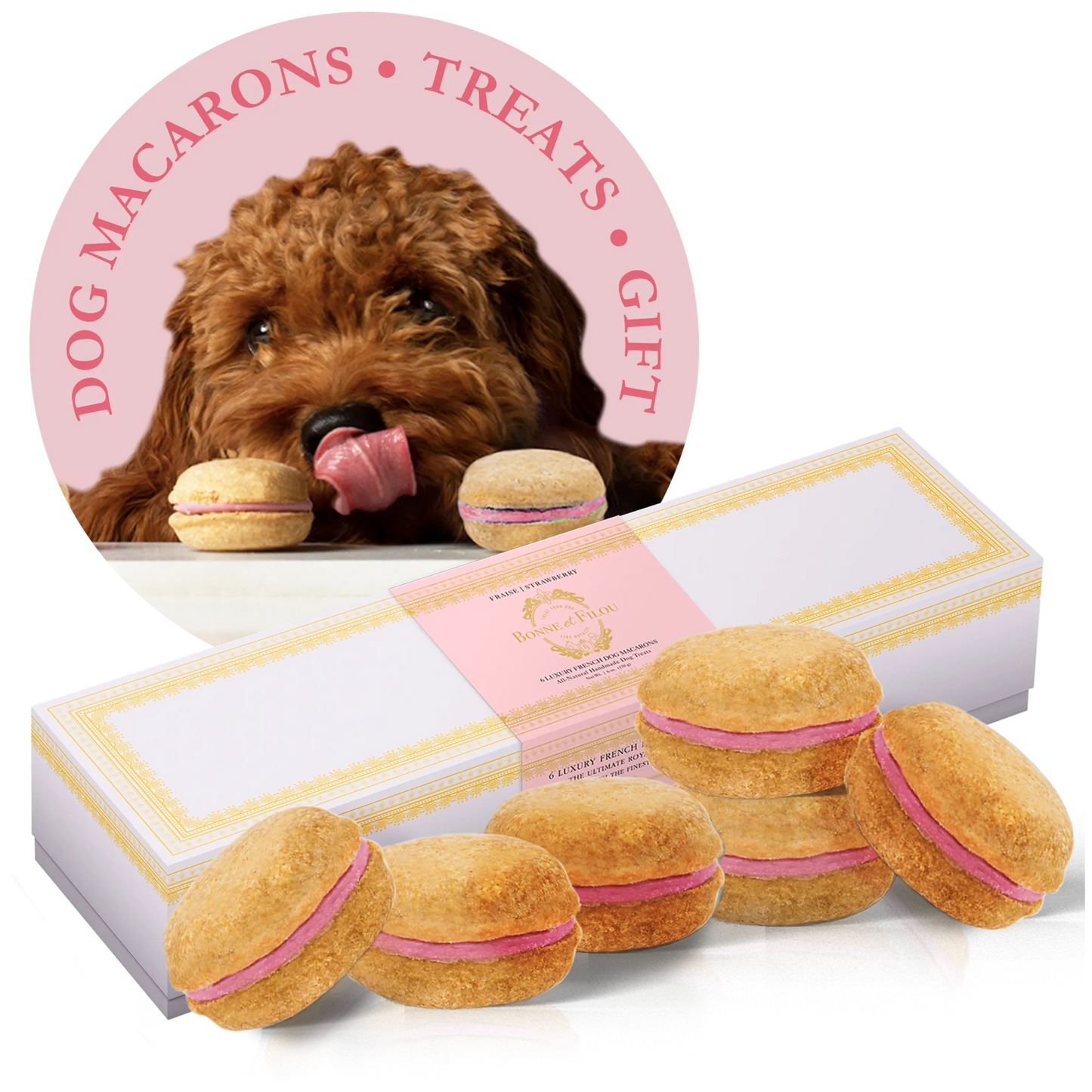 Dog Macarons - Box of 6 - Gourmet Human-Grade Dog Treats