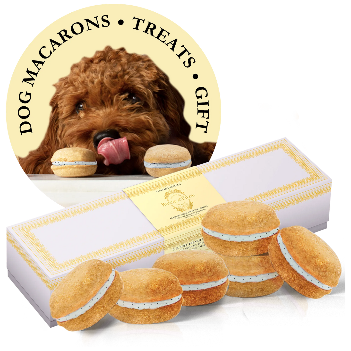 Dog Macarons - Box of 6 - Gourmet Human-Grade Dog Treats