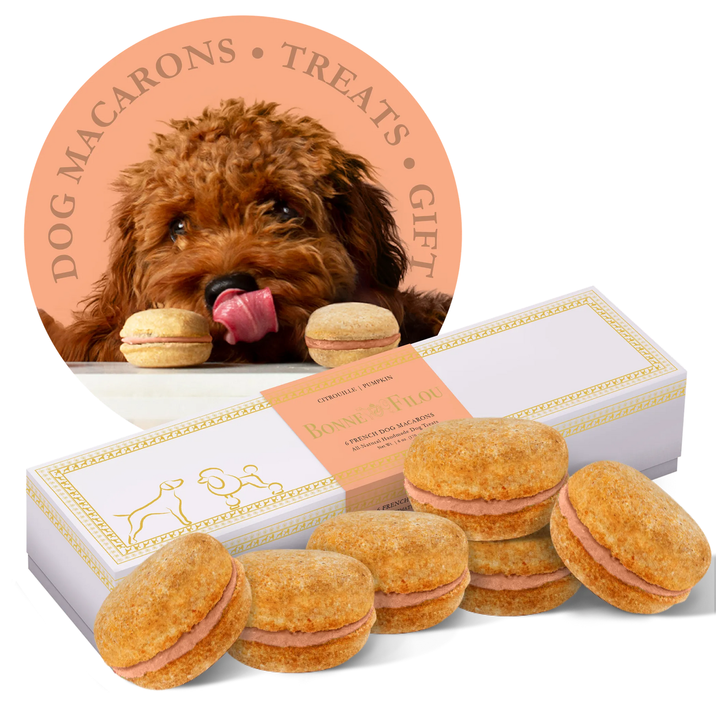 Dog Macarons - Box of 6 - Gourmet Human-Grade Dog Treats