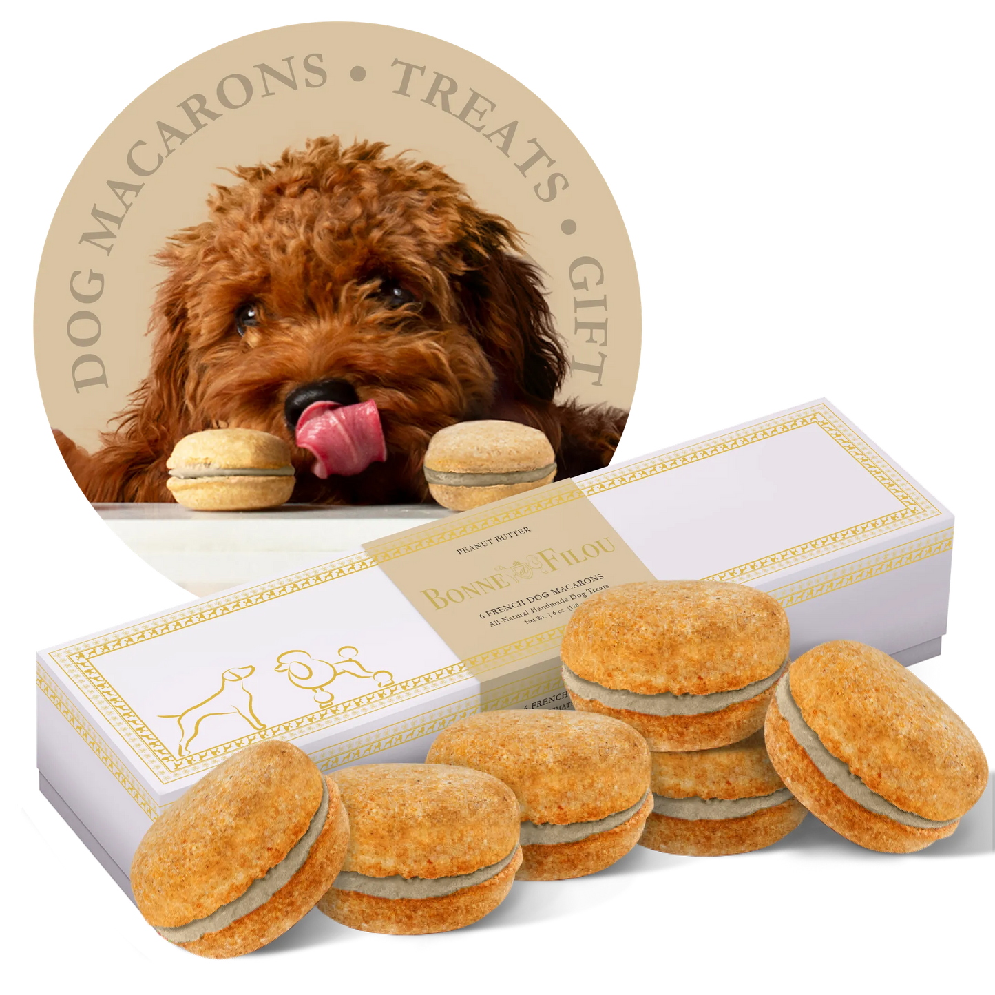 Dog Macarons - Box of 6 - Gourmet Human-Grade Dog Treats