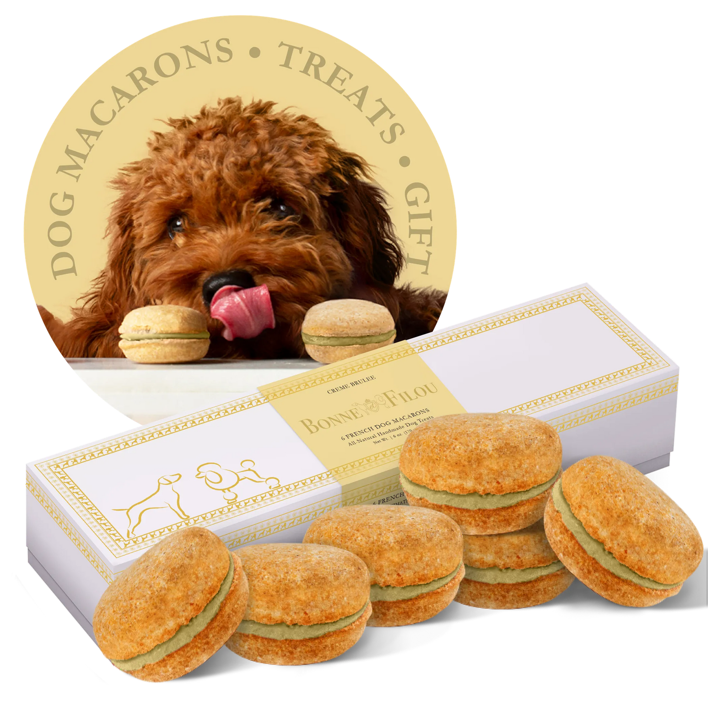 Dog Macarons - Box of 6 - Gourmet Human-Grade Dog Treats