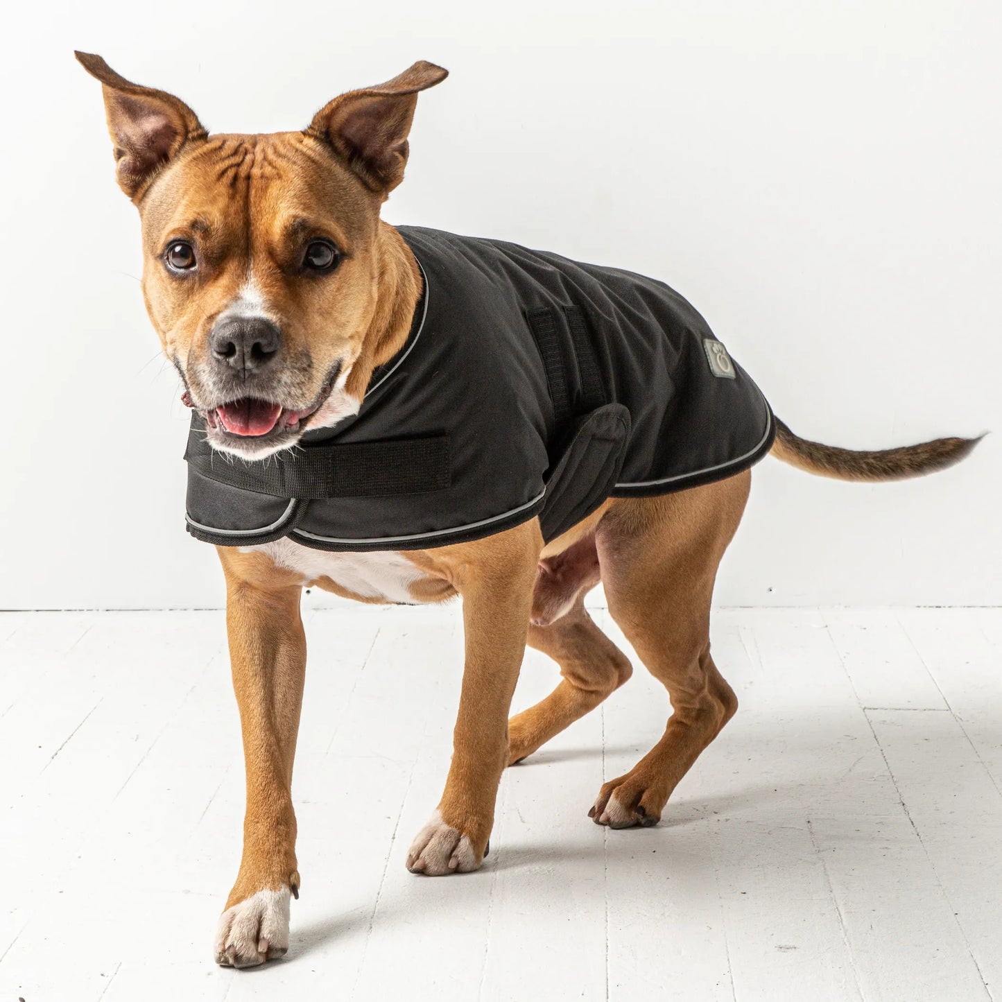 GF Pet Dog Blanket Jacket - Waterproof and Warm Dog Apparel
