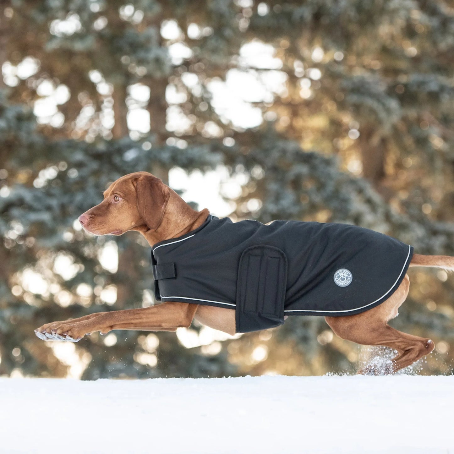 GF Pet Dog Blanket Jacket - Waterproof and Warm Dog Apparel