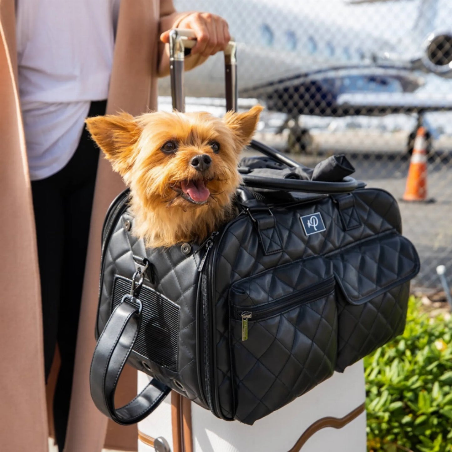 The Lux Pet Carrier: Stylish and Comfortable Travel for Pets