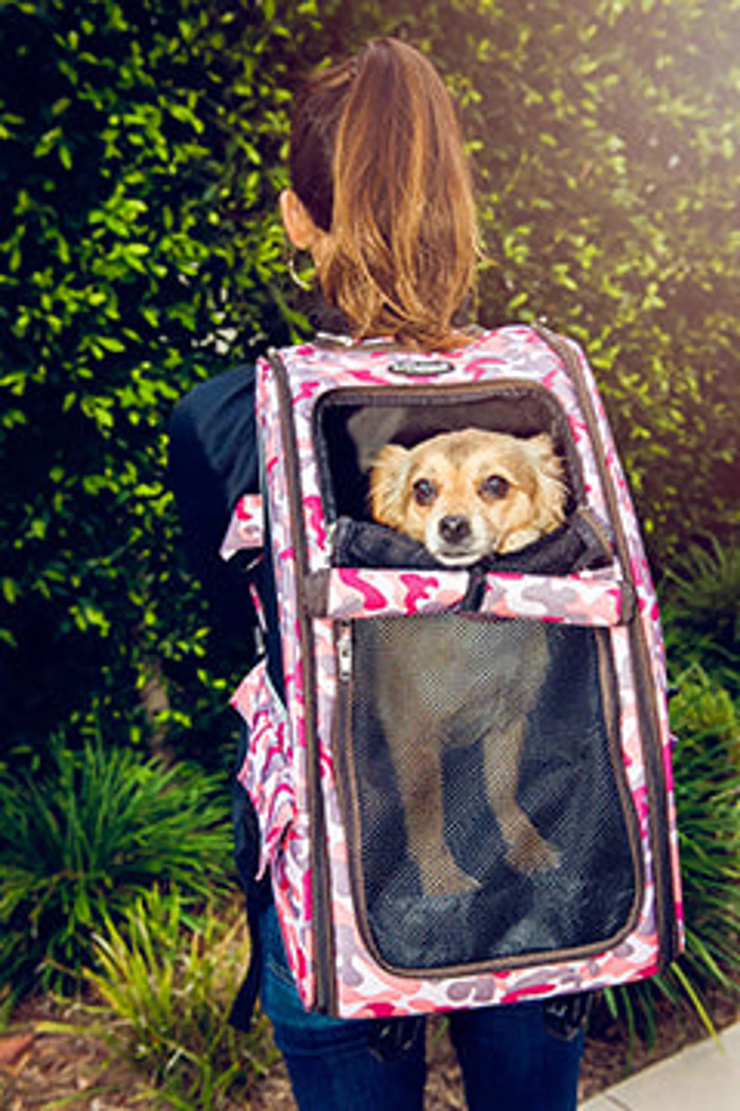 5-in-1 Pet Carrier - Versatile and Durable Pet Travel Gear