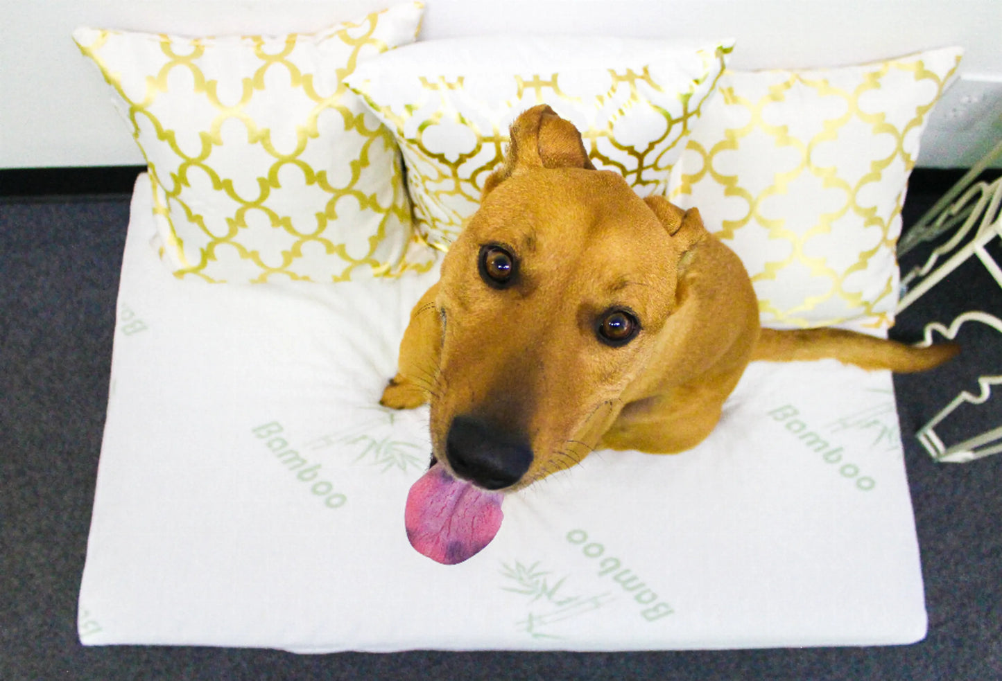 Bamboo Memory Foam Pet Bed - Improves Pet's Overall Health and Mobility