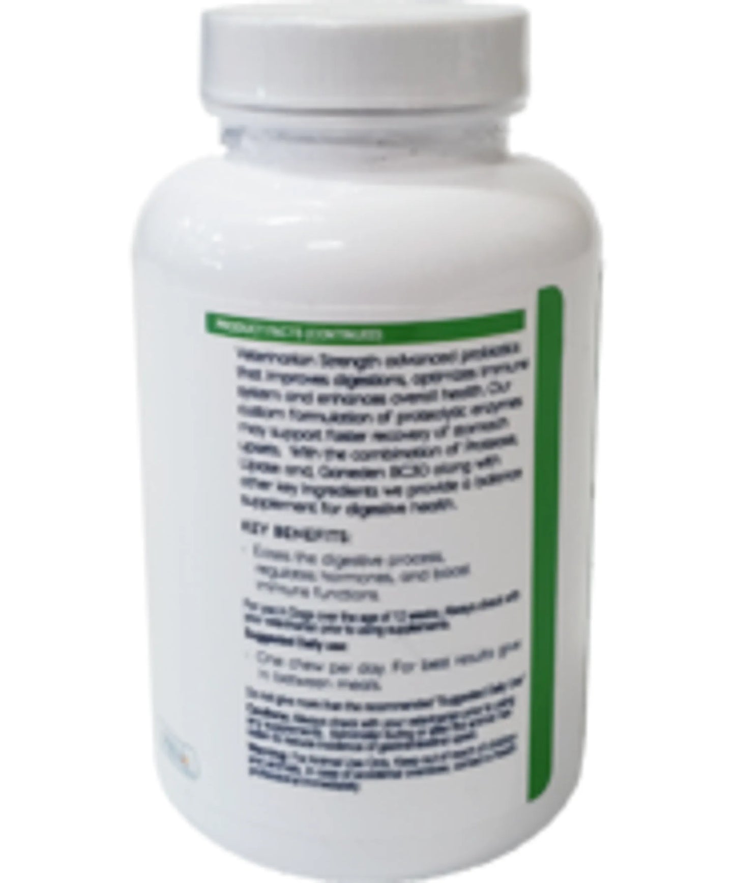 Veterinarian-Recommended Digestive Health Enzymes for Dogs