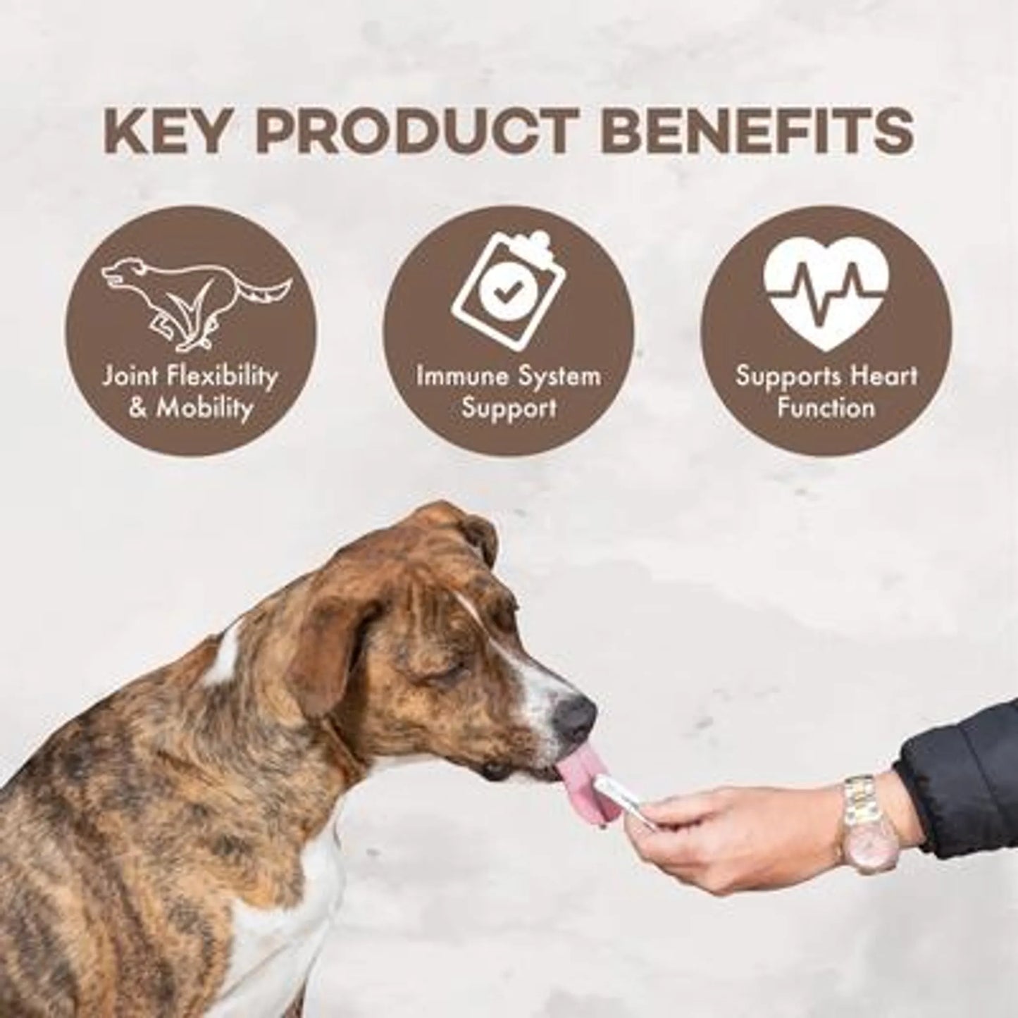 Coromega Pup Packets Omega-3 Joint & Muscle Mobility Support - Dog Supplement