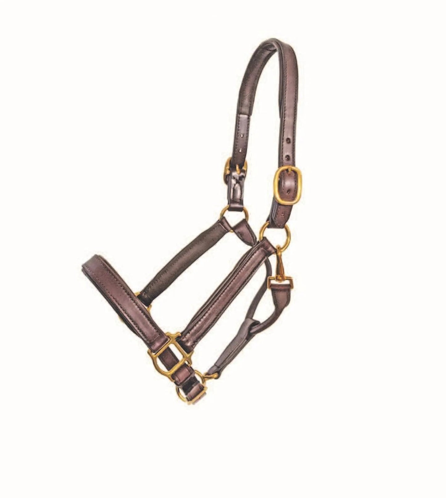 1" Brown Padded Halter