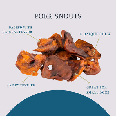 Platinum Pet Treats - Natural Pork Snouts Dog Treats, Pack of 10