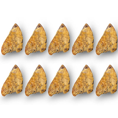 Platinum Pet Treats - Super Pig Ears (Pack of 50) - Delicious and All-Natural